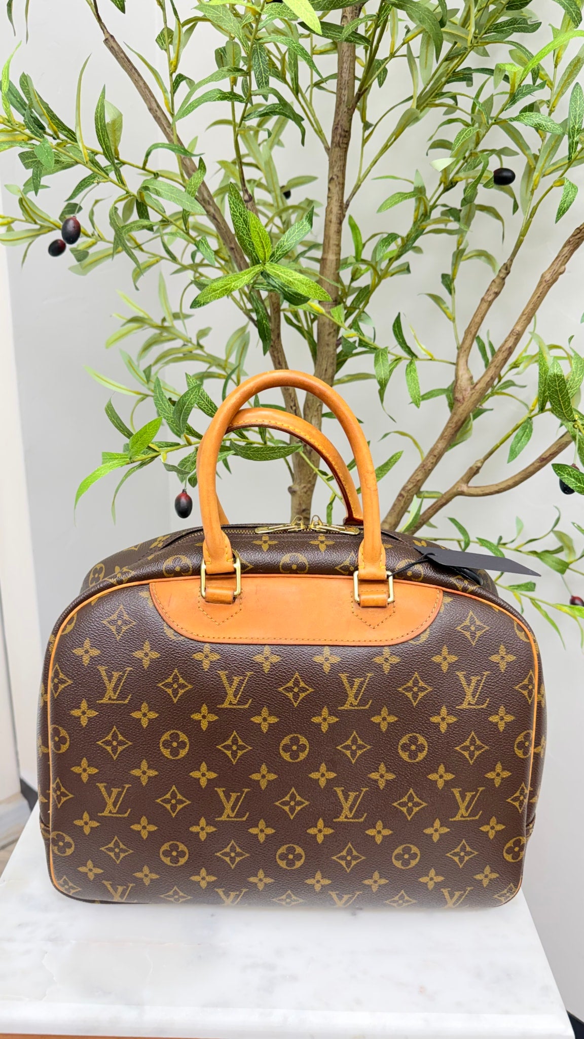 Louis Vuitton Monogram Deauville Handbag