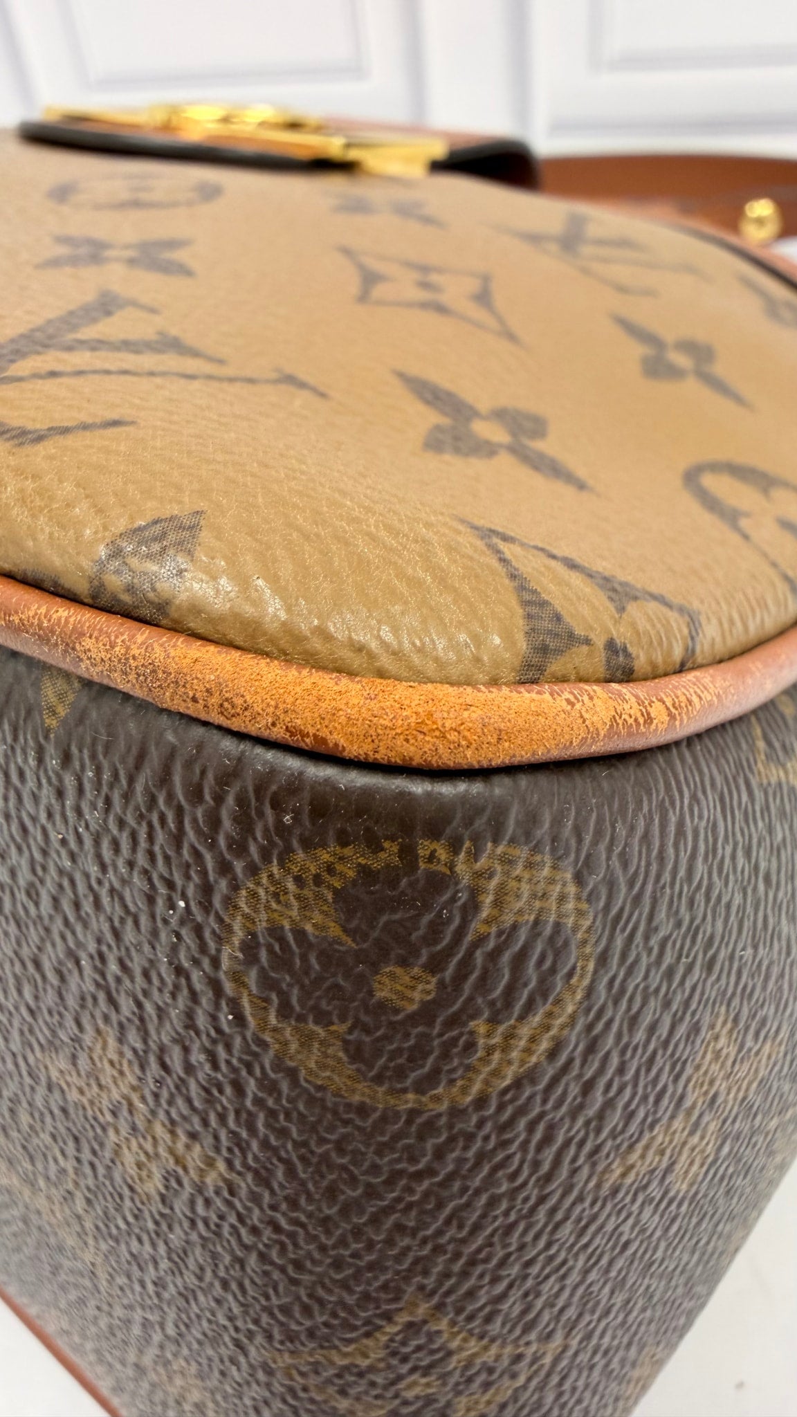 Louis Vuitton Reverse Monogram Dauphine Hobo PM Handbag