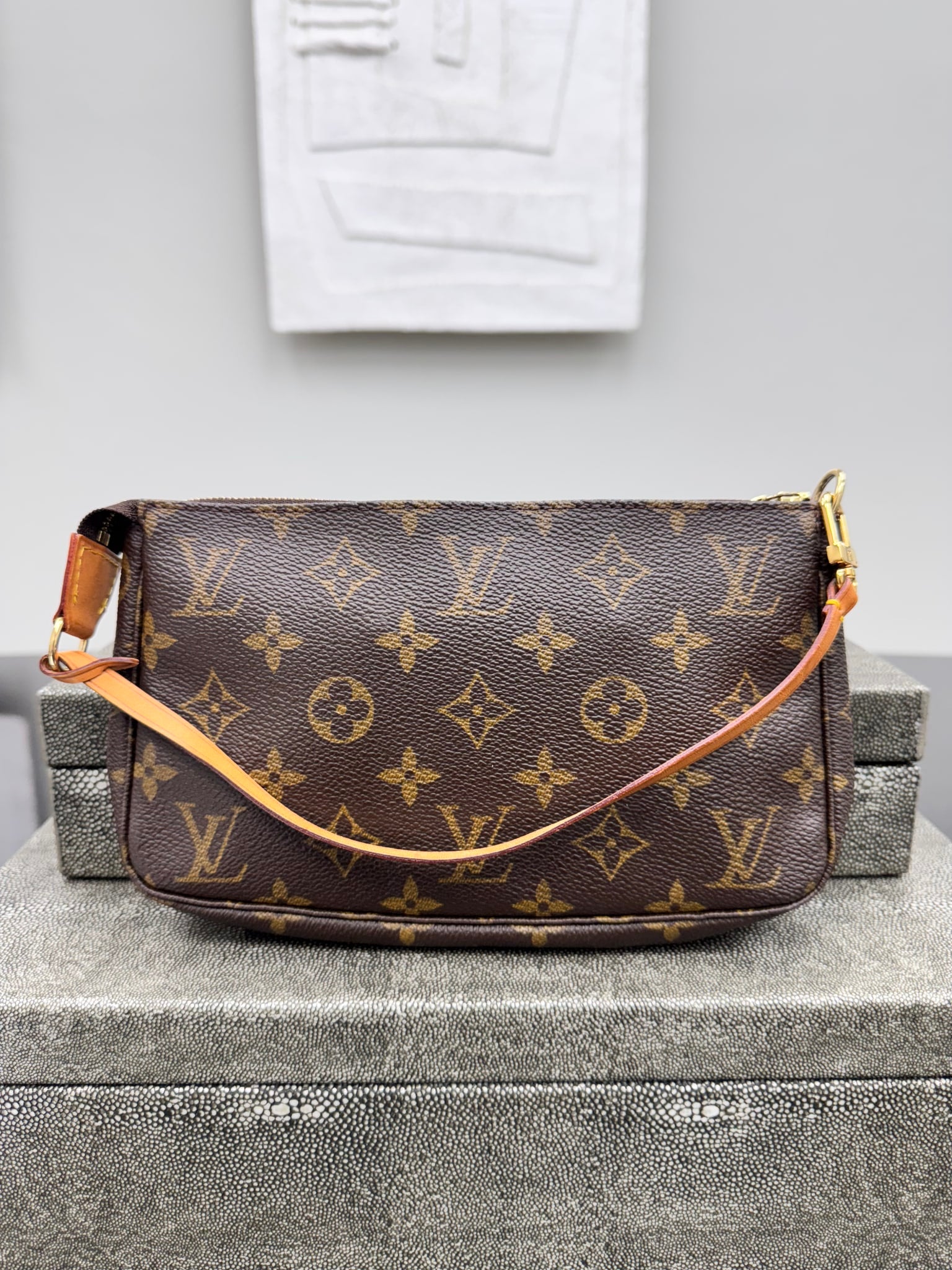 Louis Vuitton Monogram Pochette Accessoires Shoulder Bag