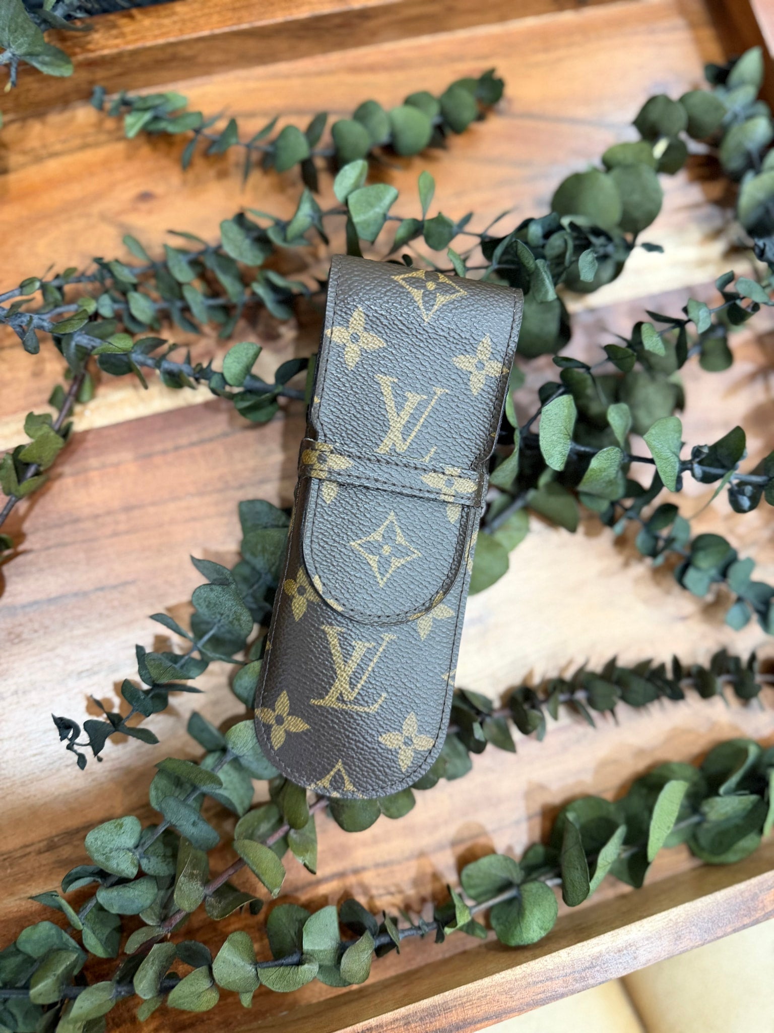 Louis Vuitton Monogram Pouch