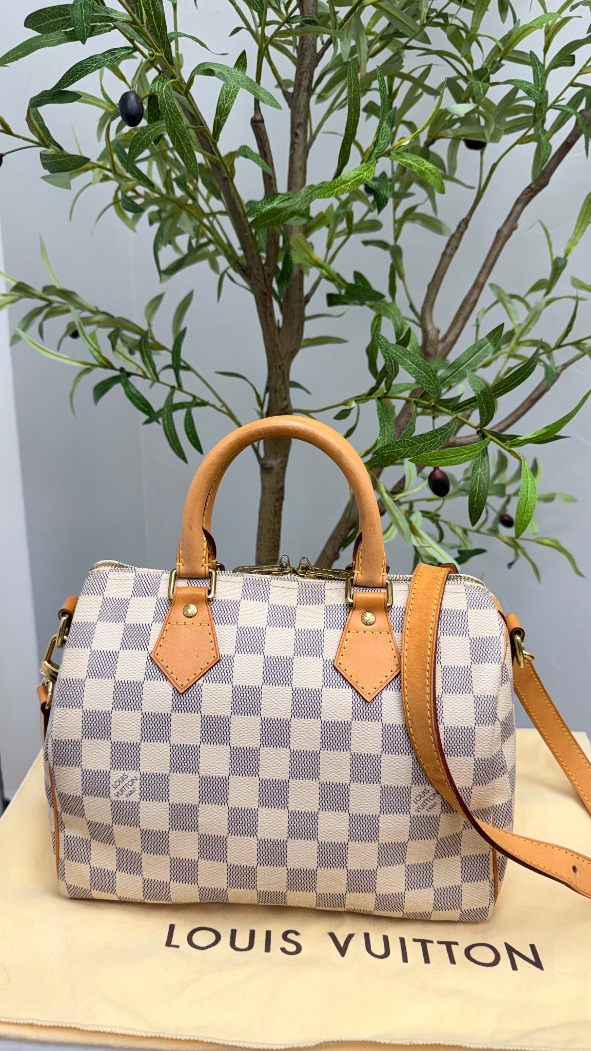 Louis Vuitton Damier Azur Speedy 25 Bandouliere