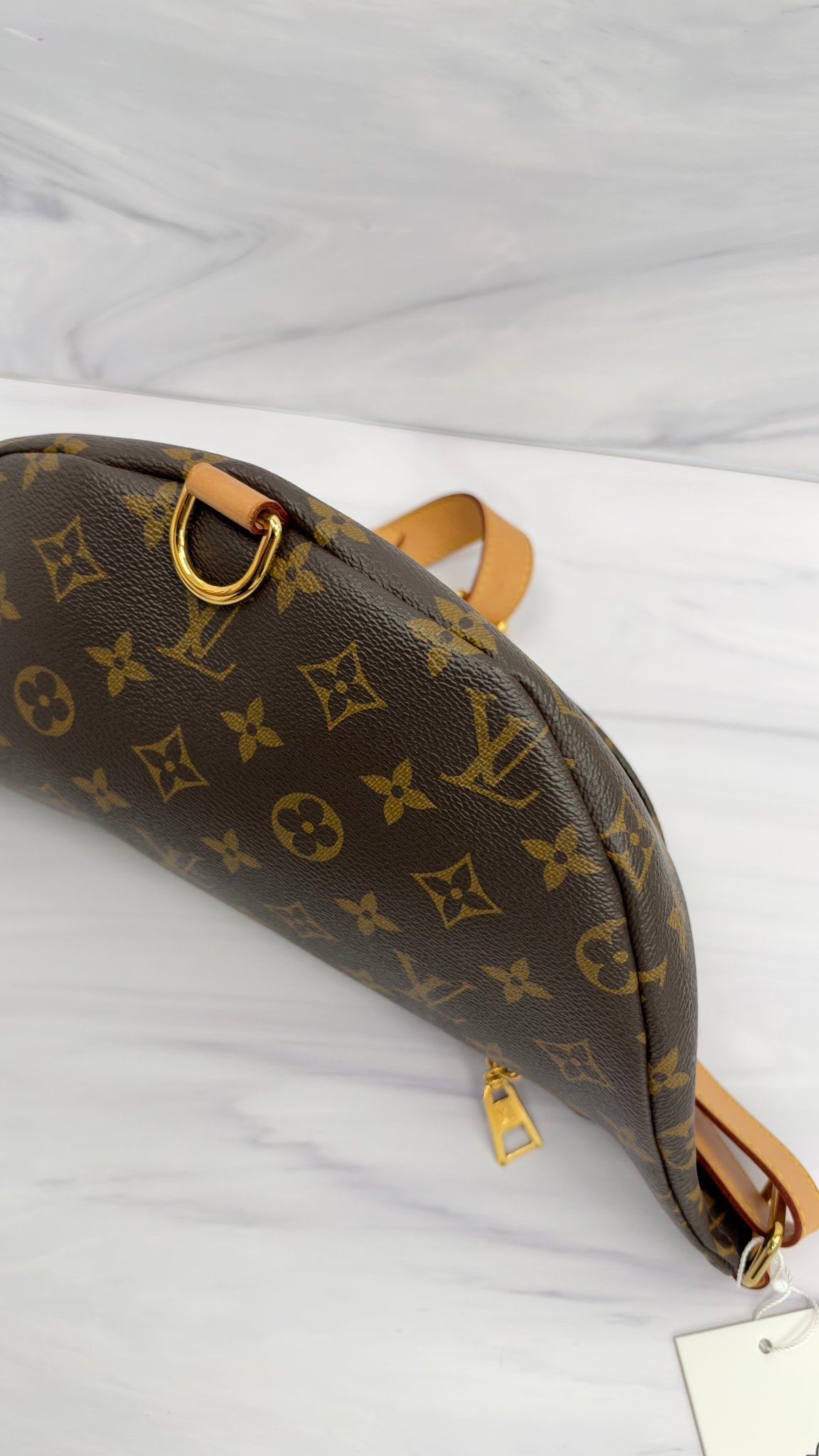 Louis Vuitton Monogram Bum Bag