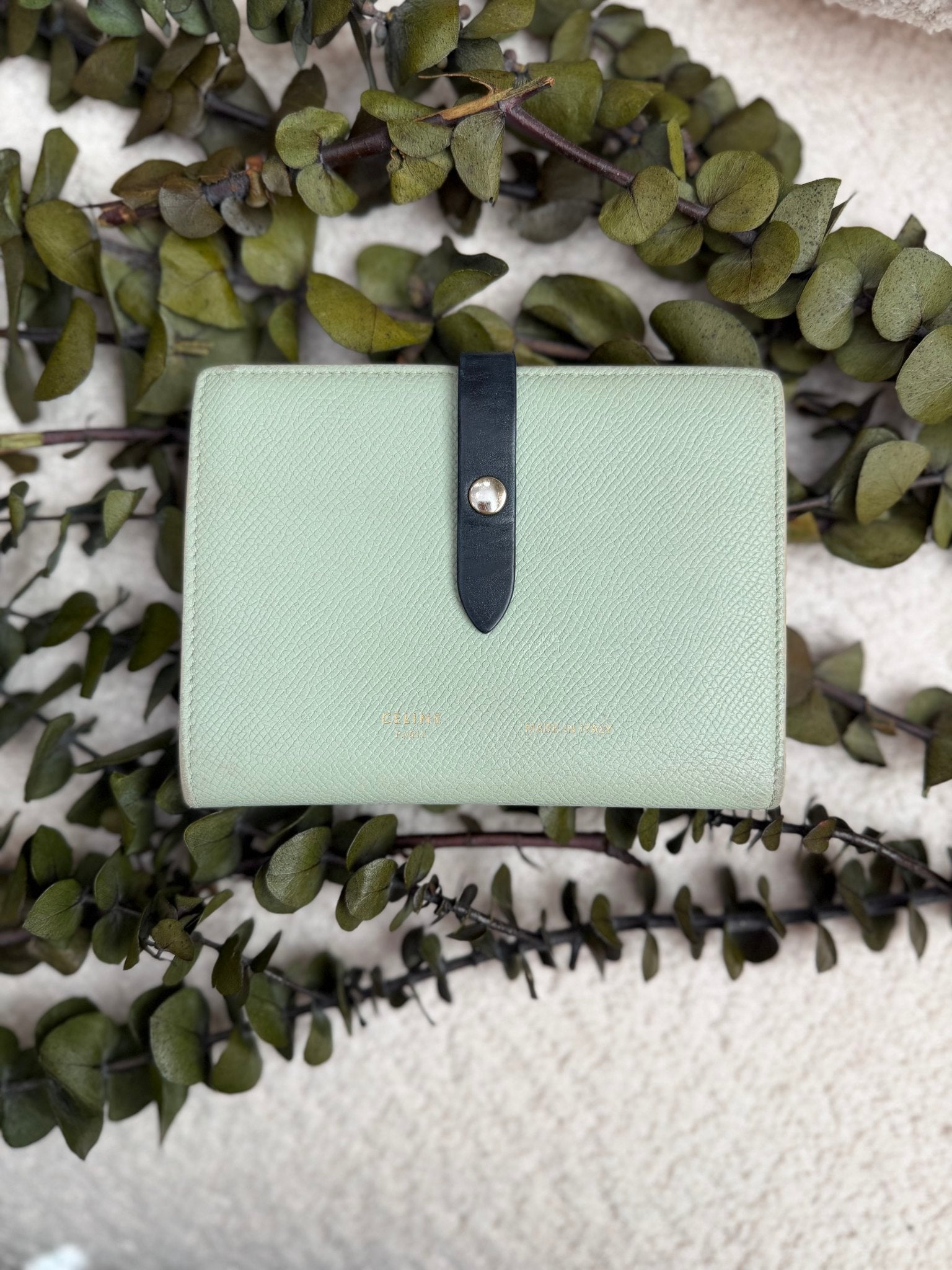 Celine Mint And Navy Leather Medium Strap Wallet