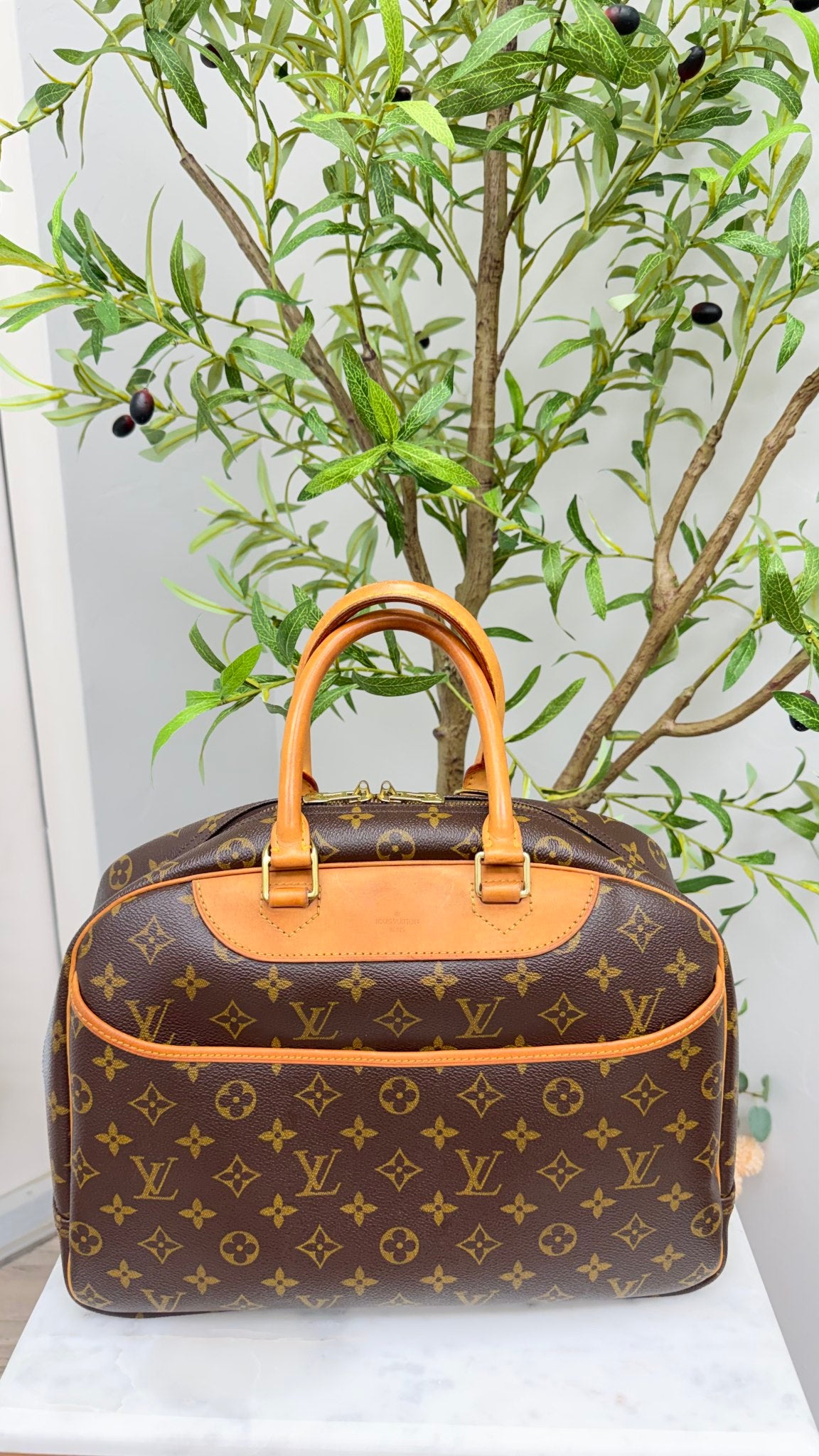Louis Vuitton Monogram Deauville Handbag