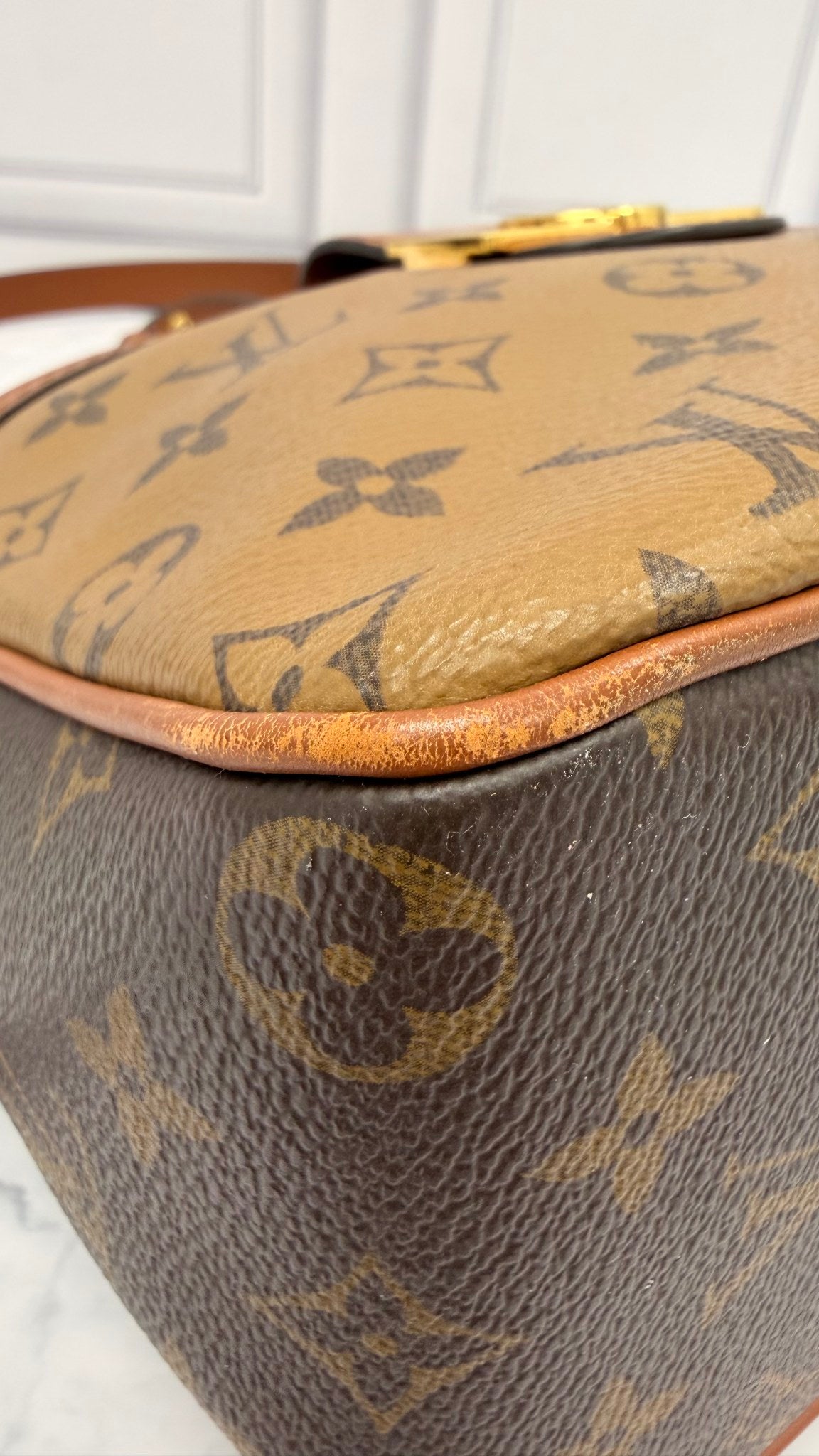 Louis Vuitton Reverse Monogram Dauphine Hobo PM Handbag