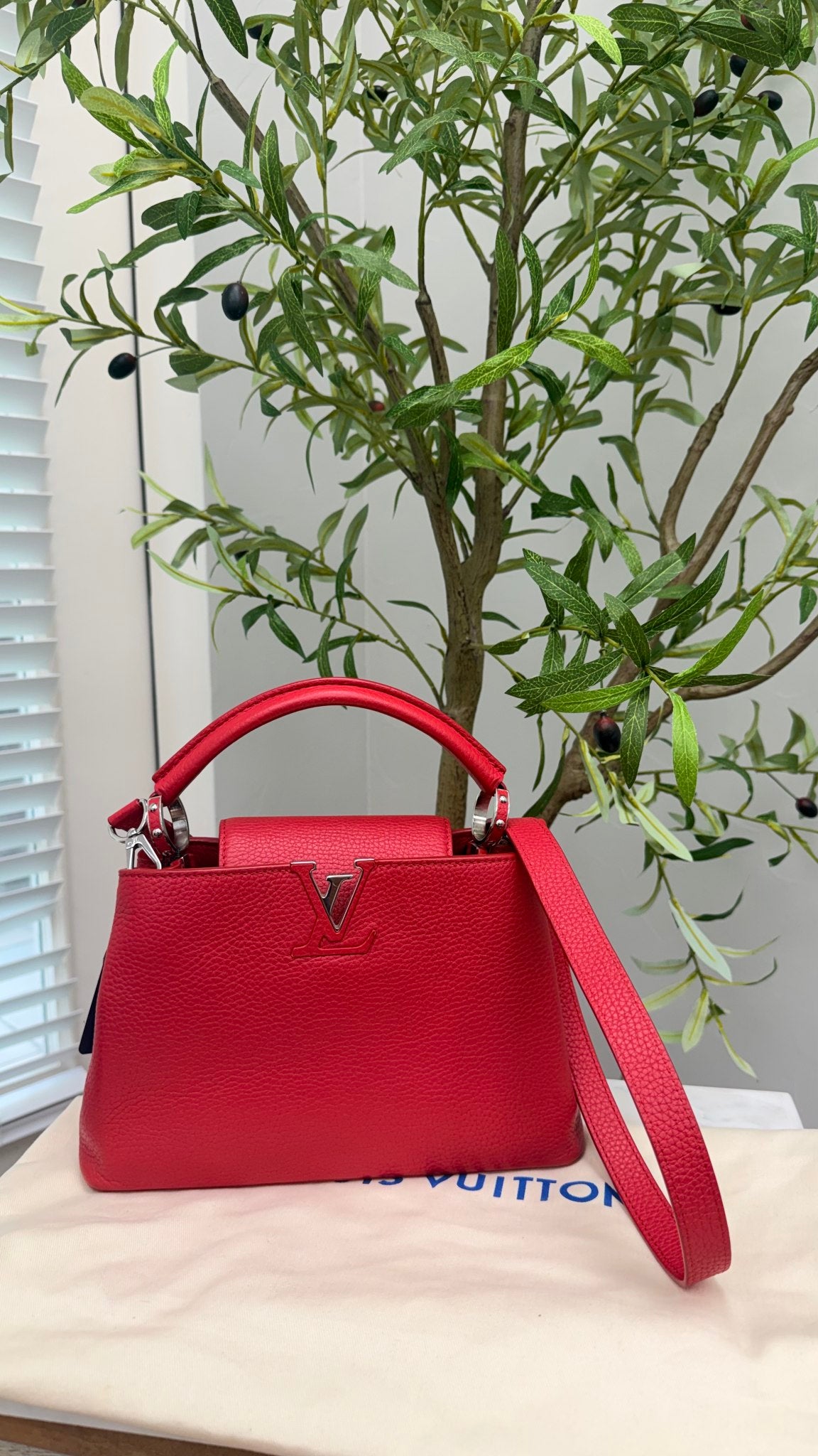 Louis Vuitton Red Taurillon Capucines BB Bag