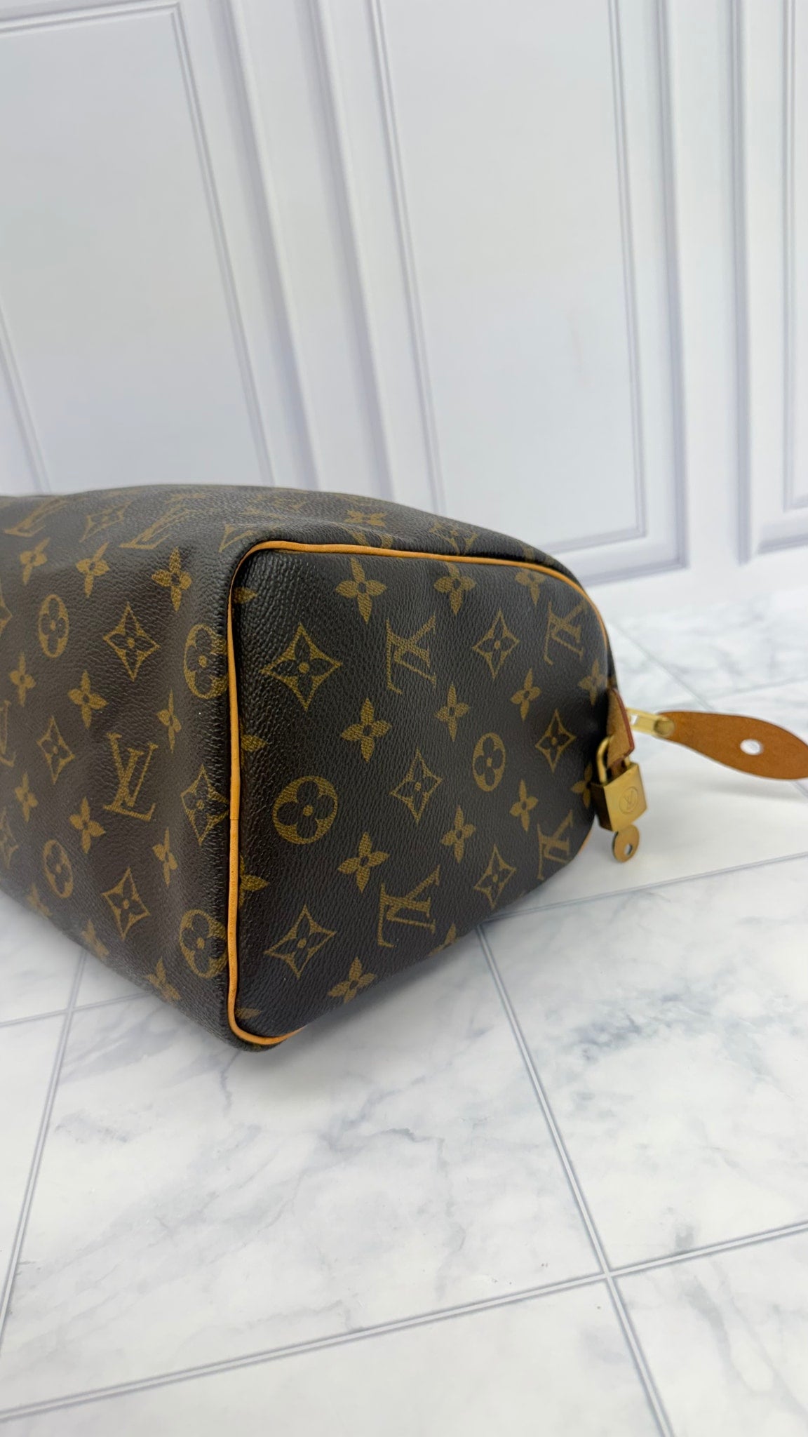 Louis Vuitton Monogram Speedy 25 Handbag