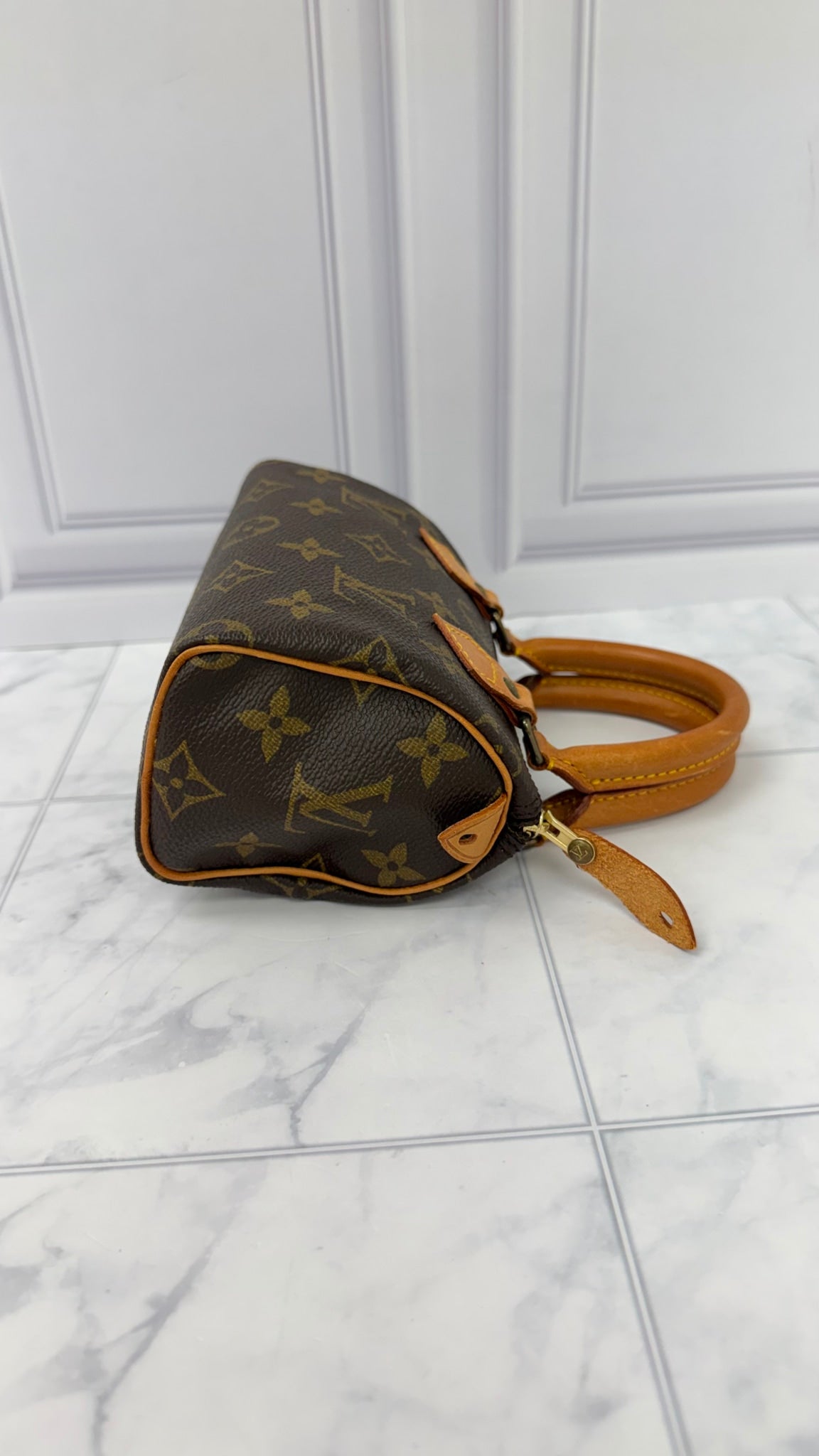 Louis Vuitton Monogram Nano Speedy Handbag