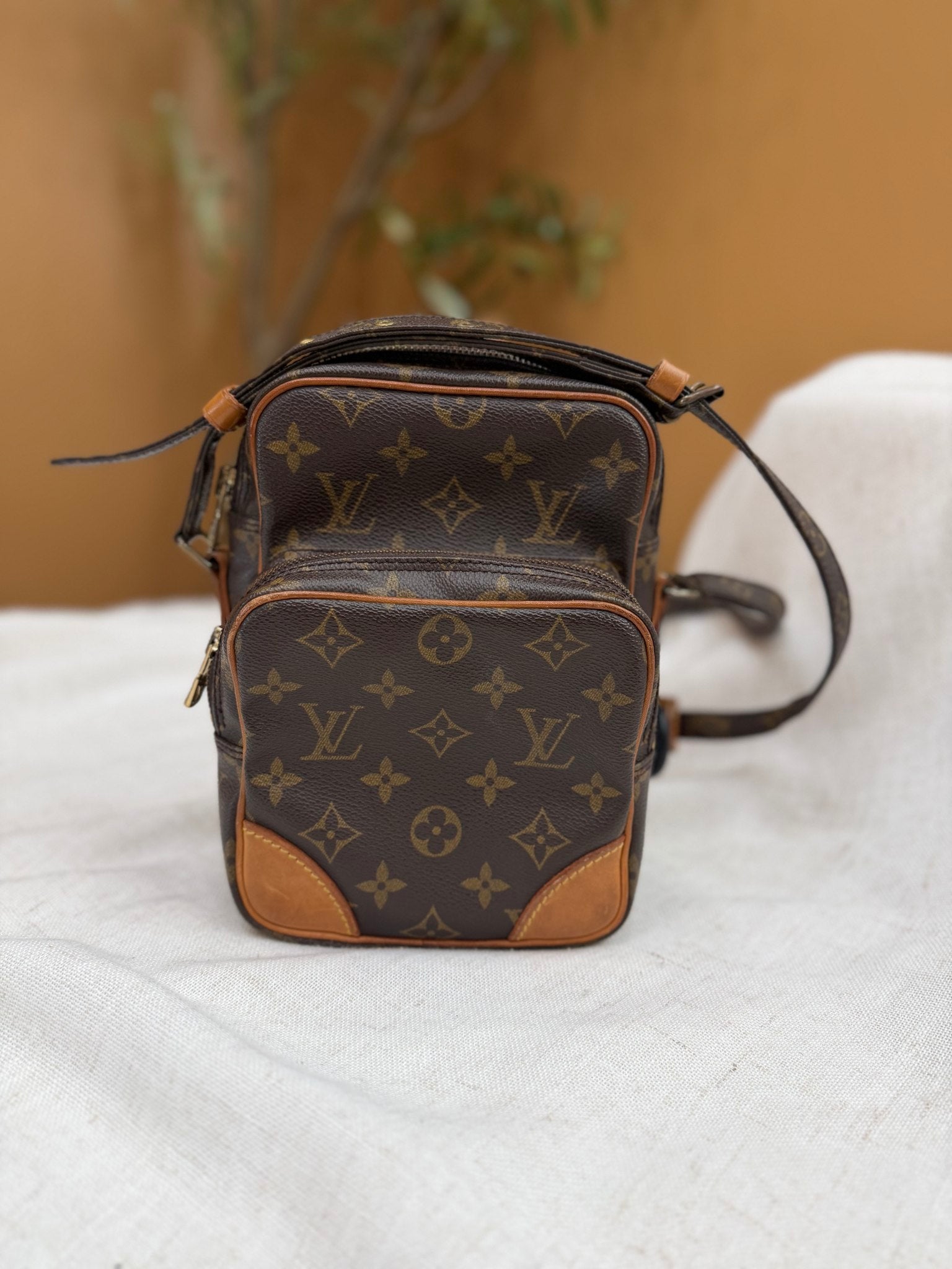 Louis Vuitton Monogram Amazon Shoulder Bag