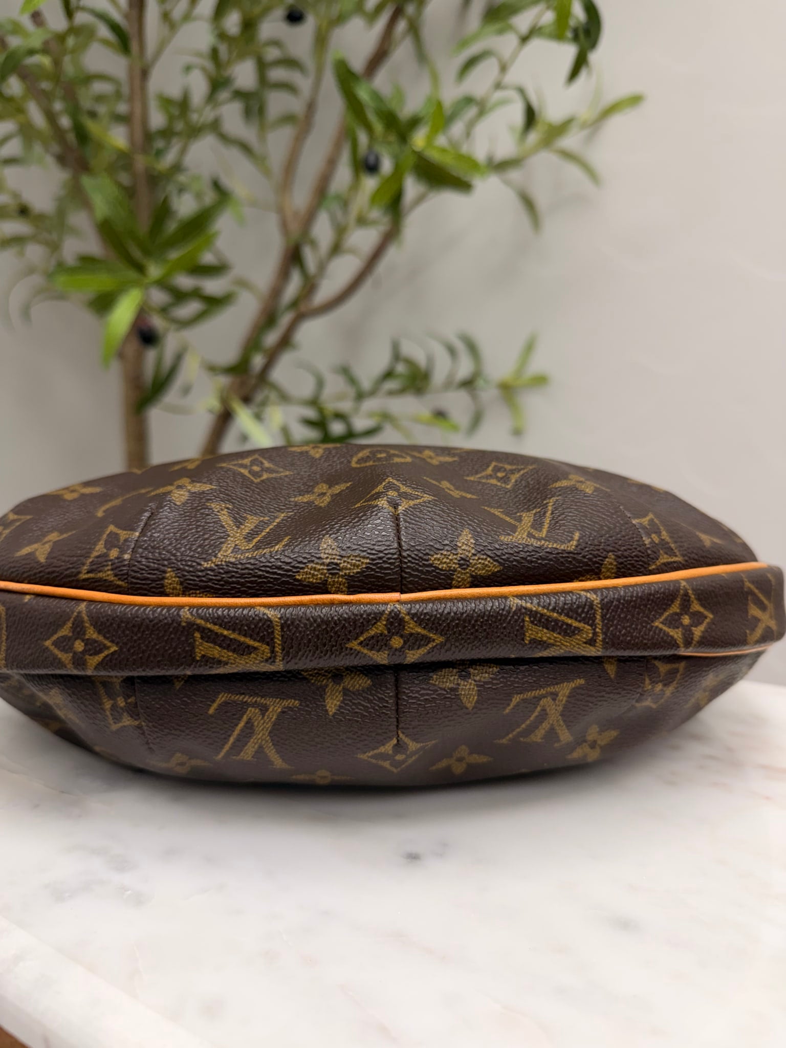 Louis Vuitton Monogram Croissant MM Shoulder Bag