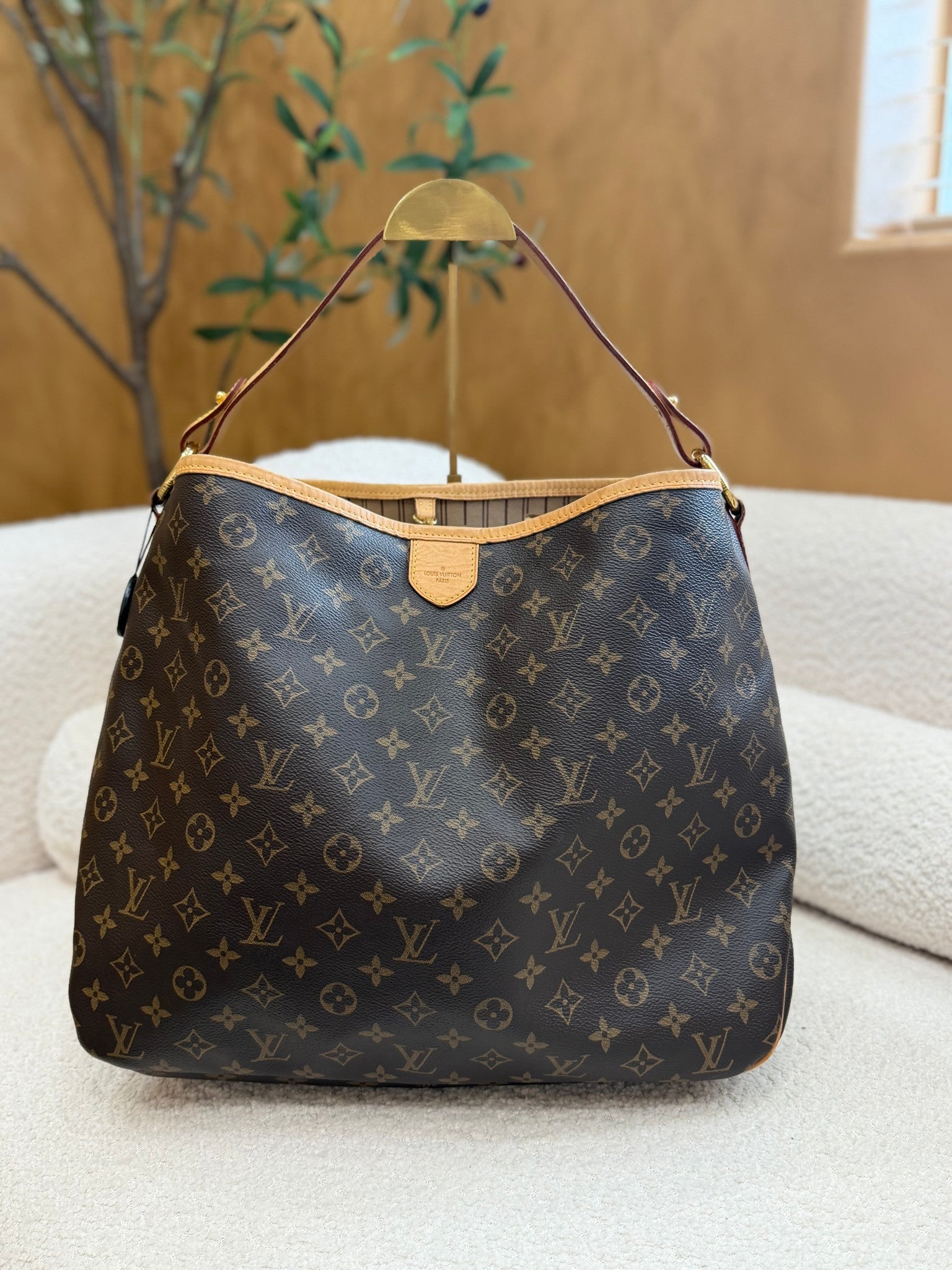 Louis Vuitton Monogram Delightful MM