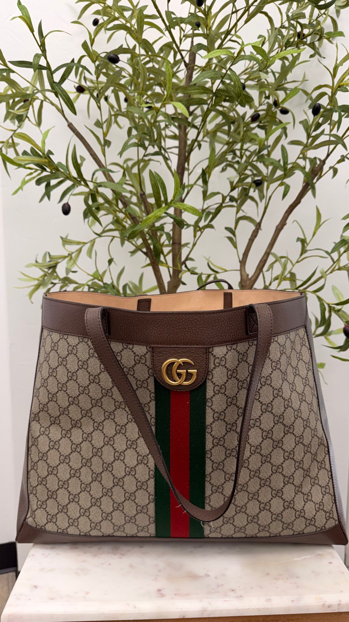 Gucci Supreme Canvas & Leather Ophidia Large Tote Bag With Pouch