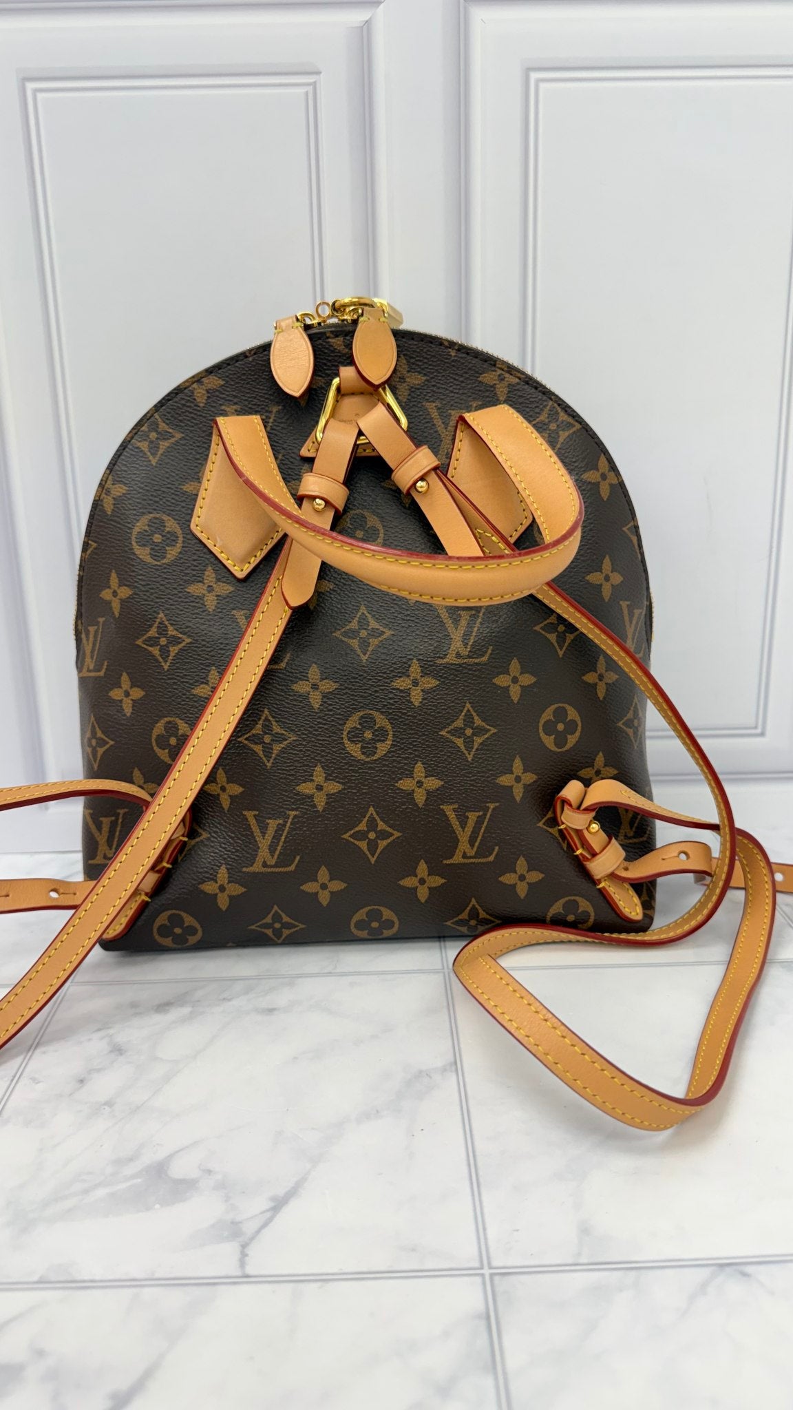 LIKE NEW - Louis Vuitton Monogram Moon Backpack