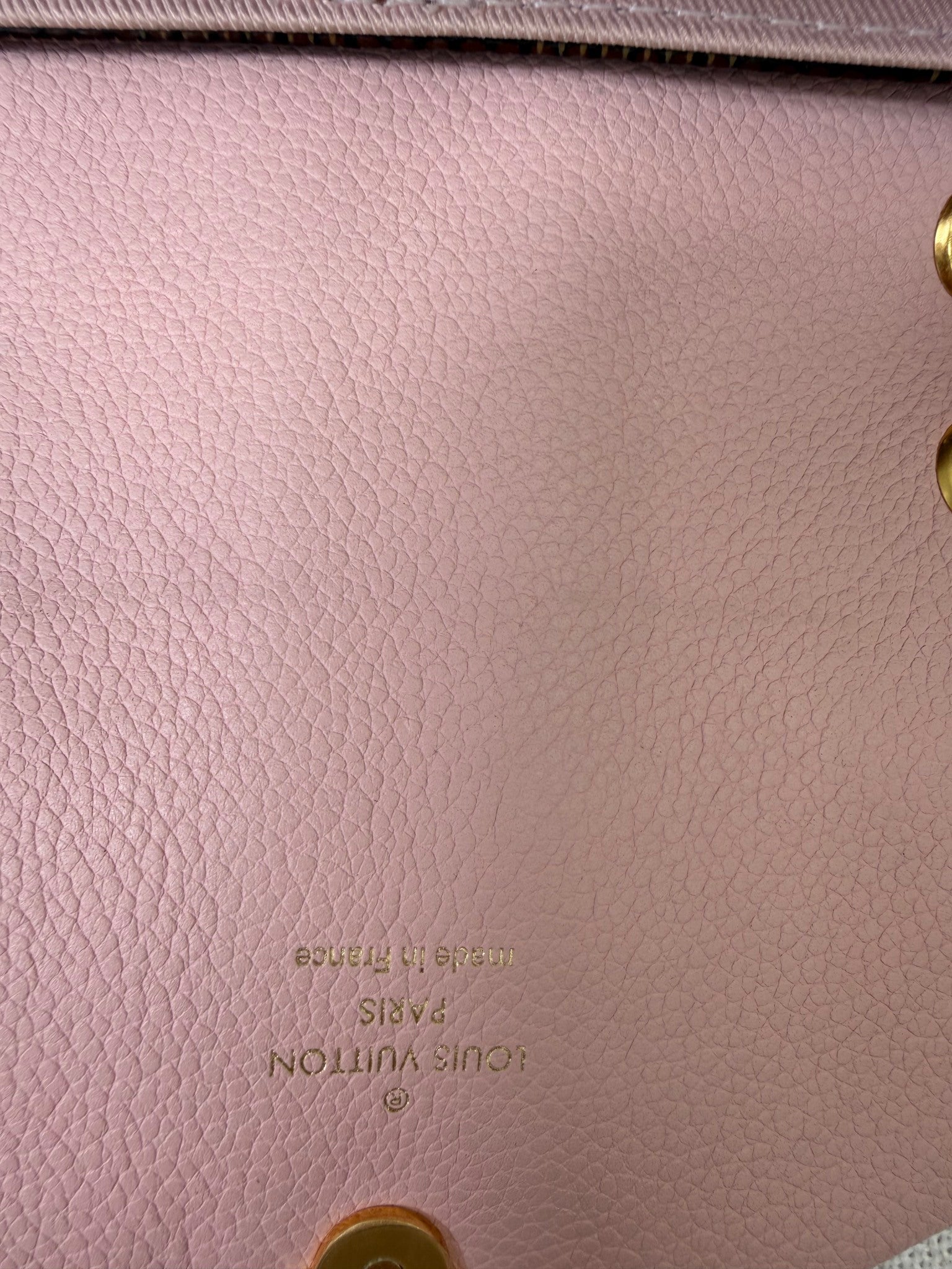 Louis Vuitton Pink Damier Ebene Canvas Clapton Backpack