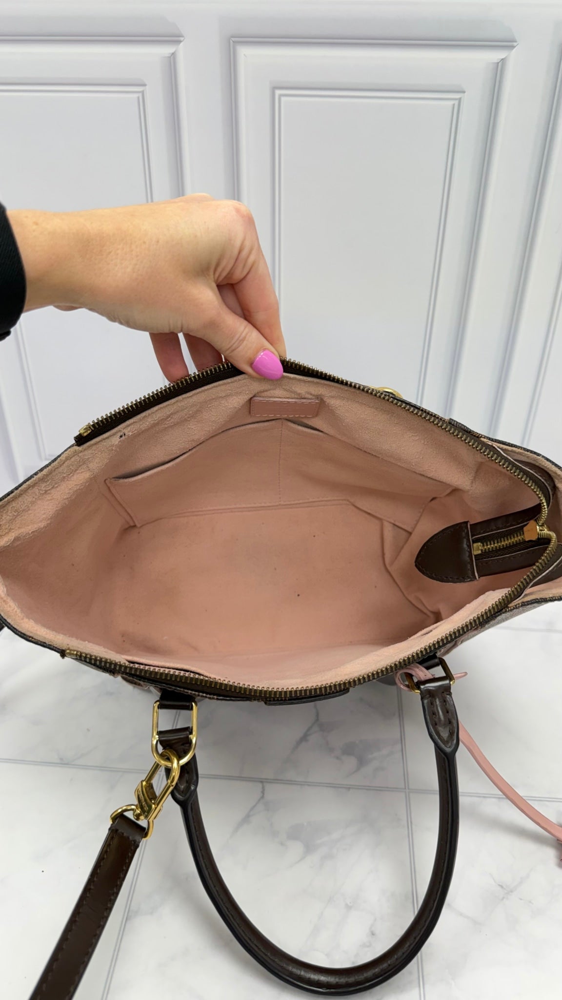 Louis Vuitton Damier Ebene & Pink Caissa PM 2Way Bag