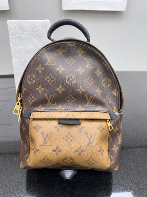 Louis Vuitton Monogram Reverse  Palm Springs PM Backpack