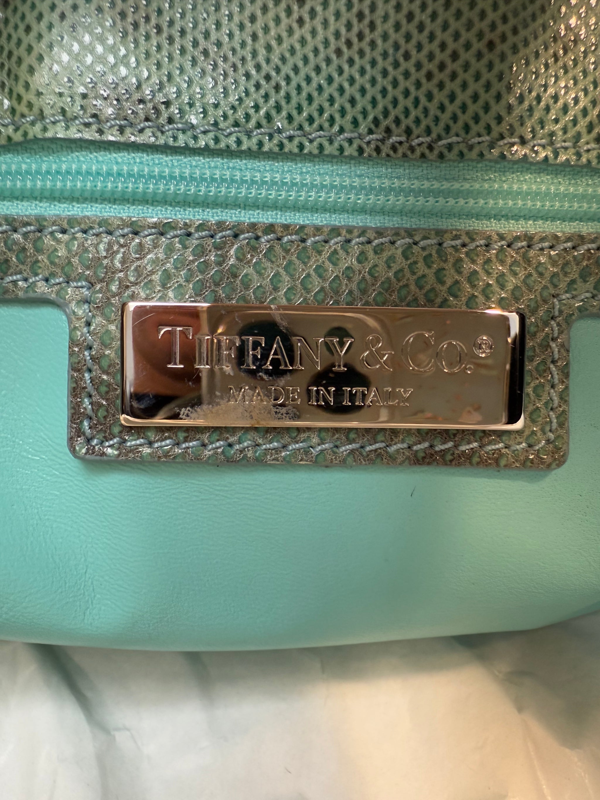 Tiffany & Co Karung Snake Bridget Bag