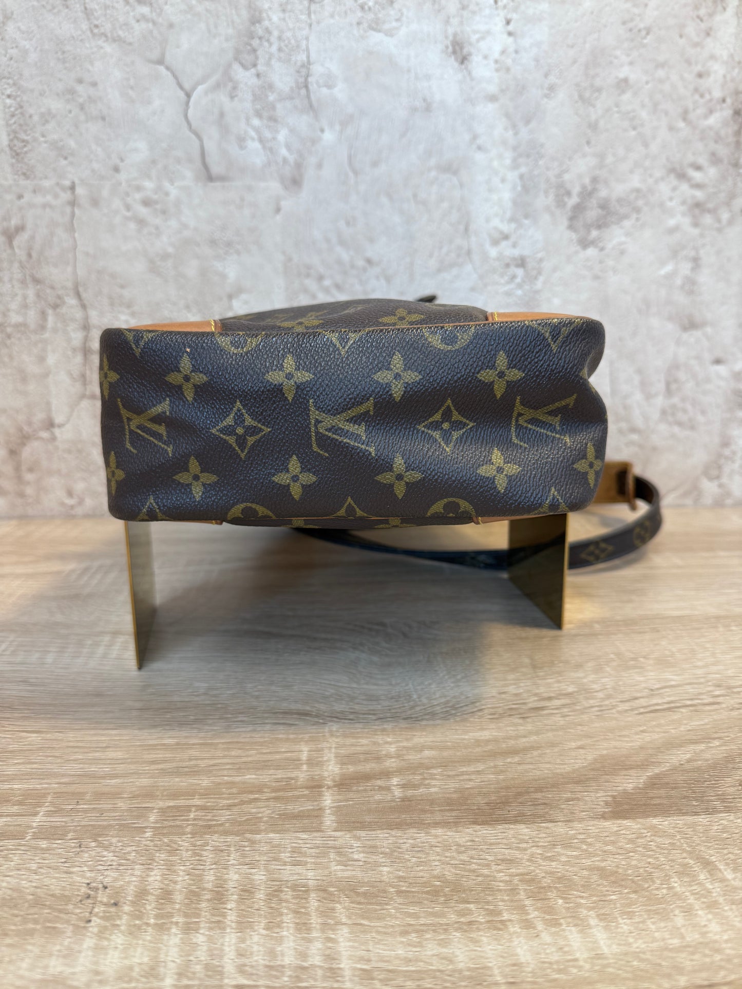 Louis Vuitton Monogram Danube Crossbody GM