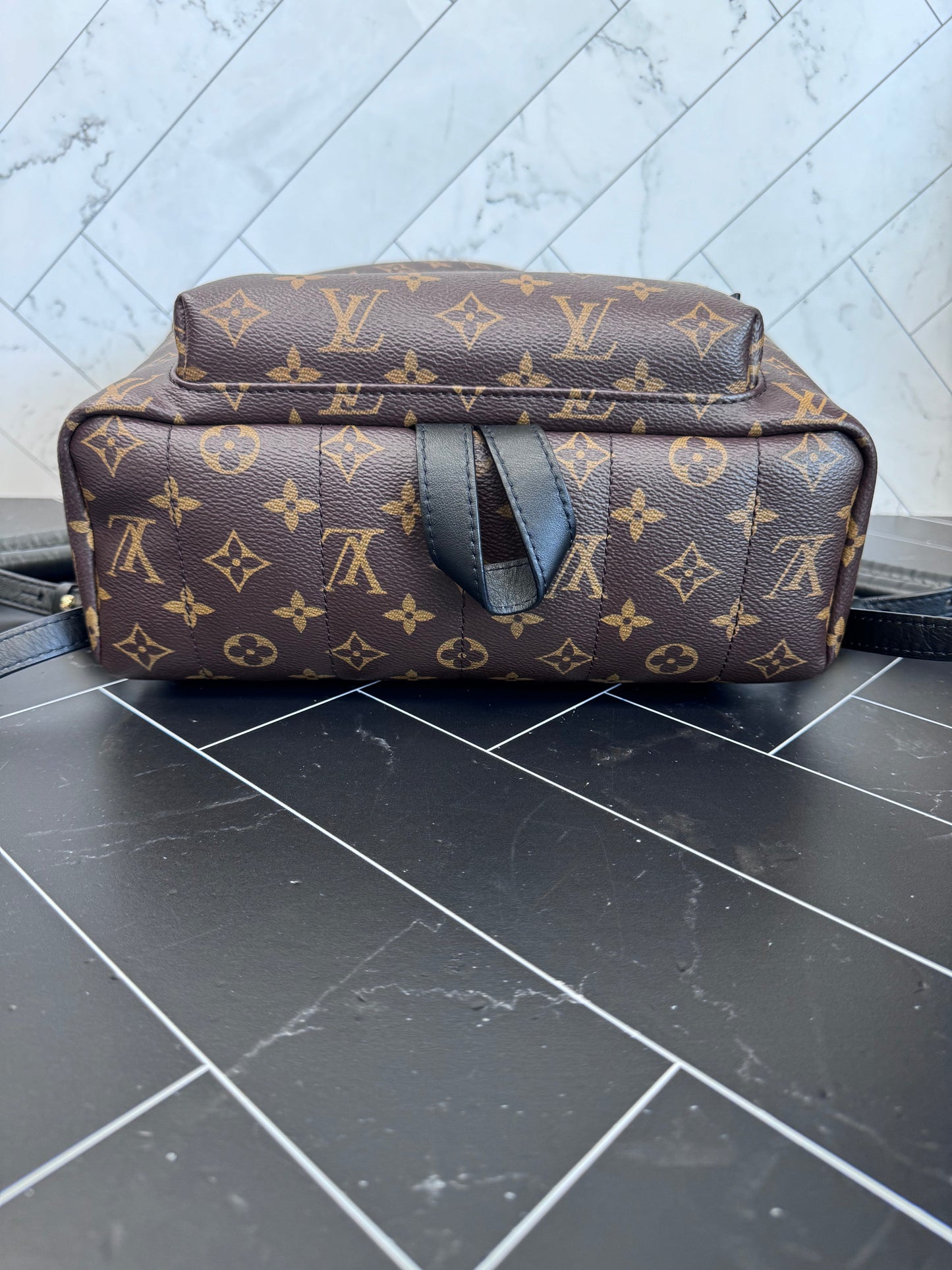 BRAND NEW Louis Vuitton Monogram Palm Springs MM Backpack