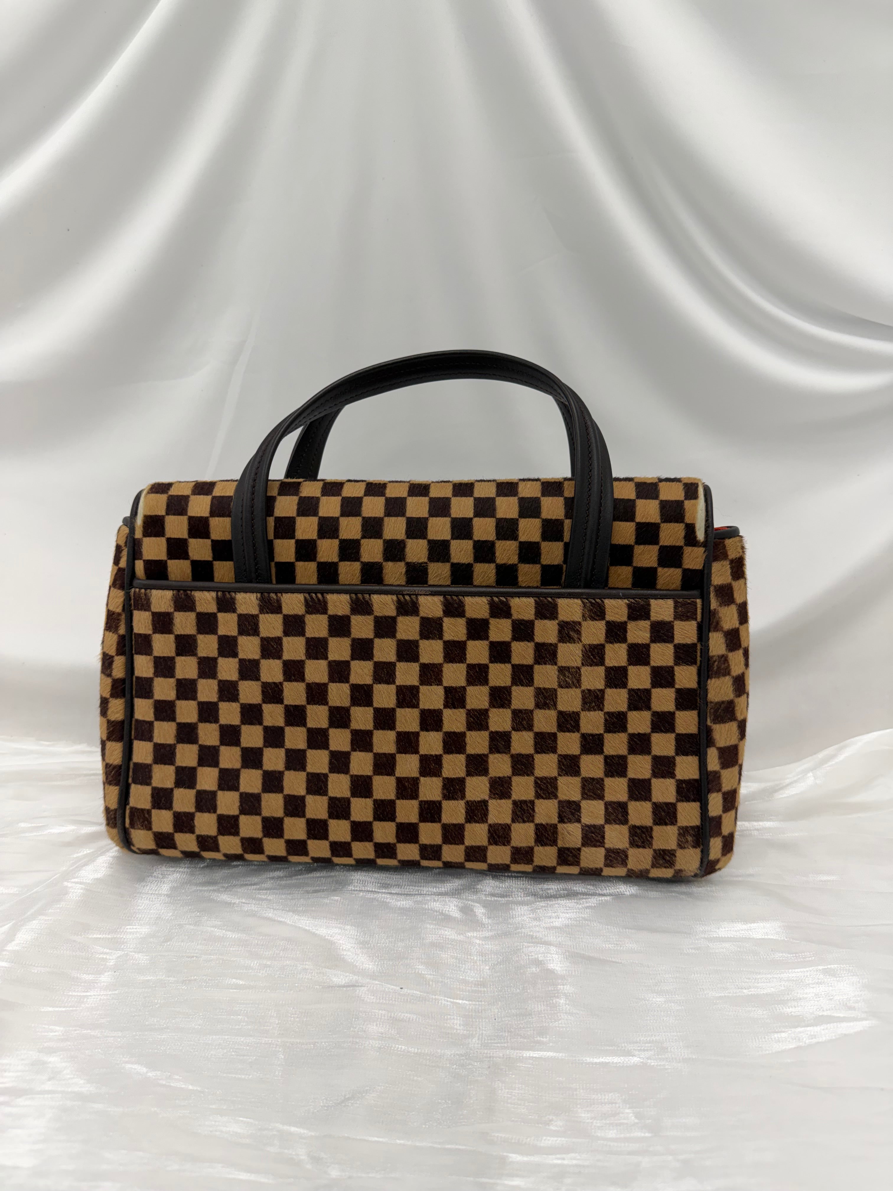 Louis Vuitton Damier Sauvage Lionne Handbag