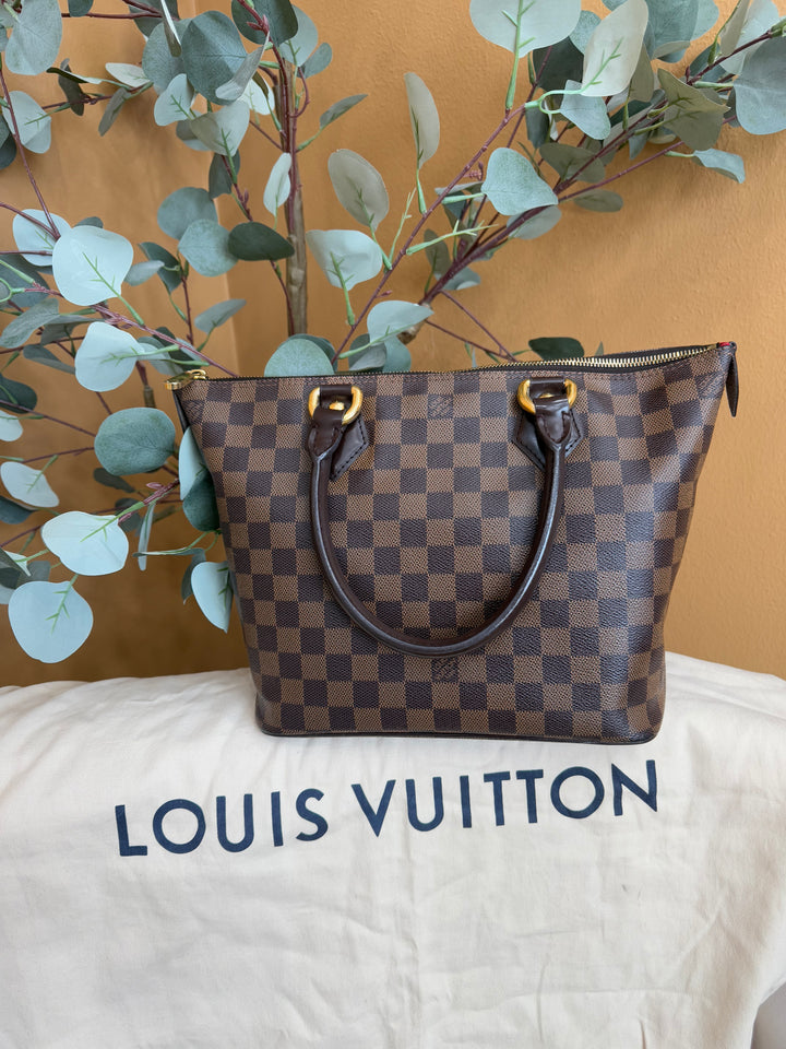 Louis Vuitton Damier Ebene Saleya PM