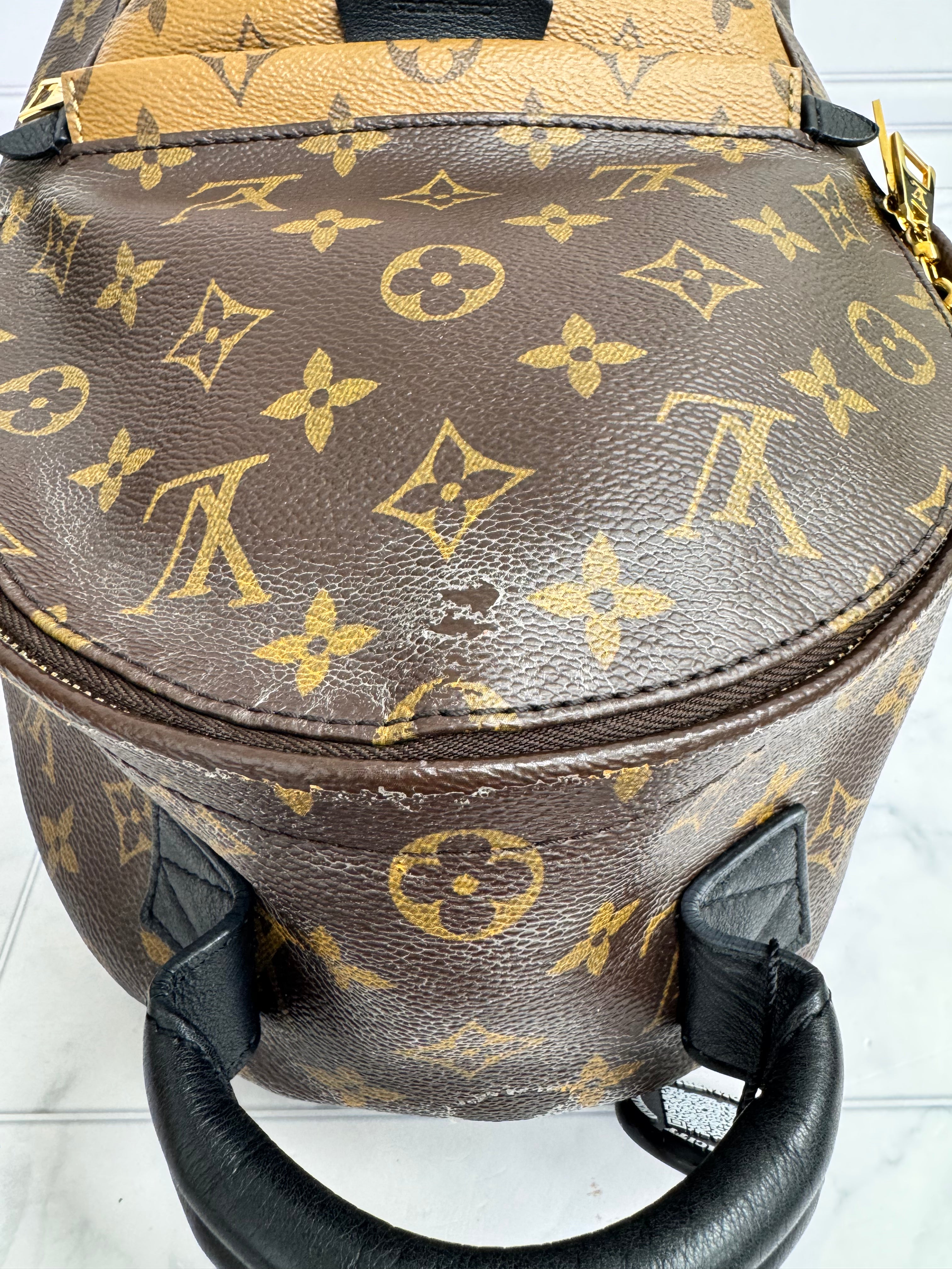 Louis Vuitton Monogram Reverse  Palm Springs PM Backpack