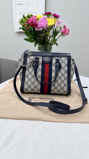 *DONS DROP* Gucci Blue Supreme Canvas & Ophidia Tote Bag