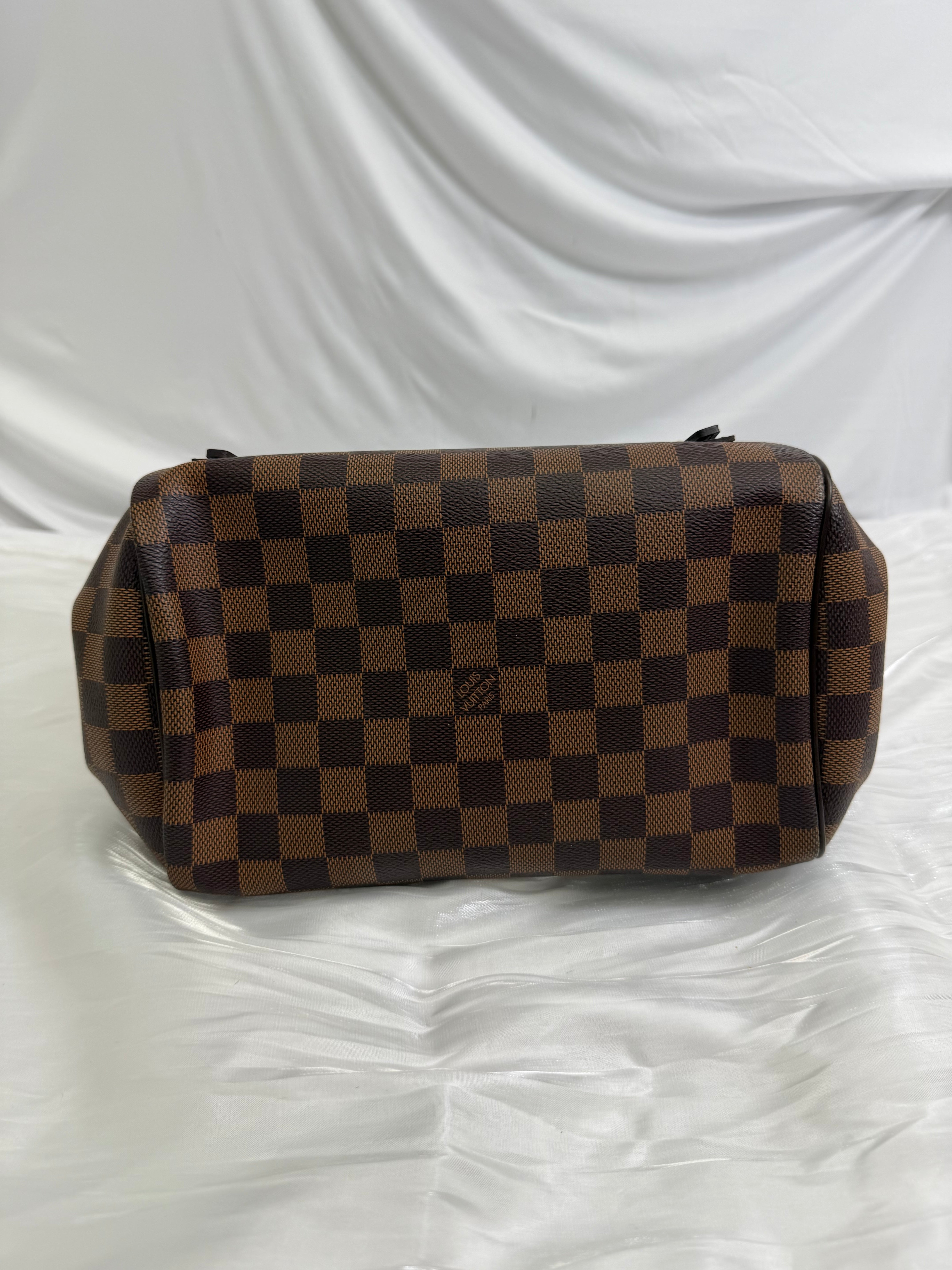 Louis Vuitton Damier Ebene Rivington PM
