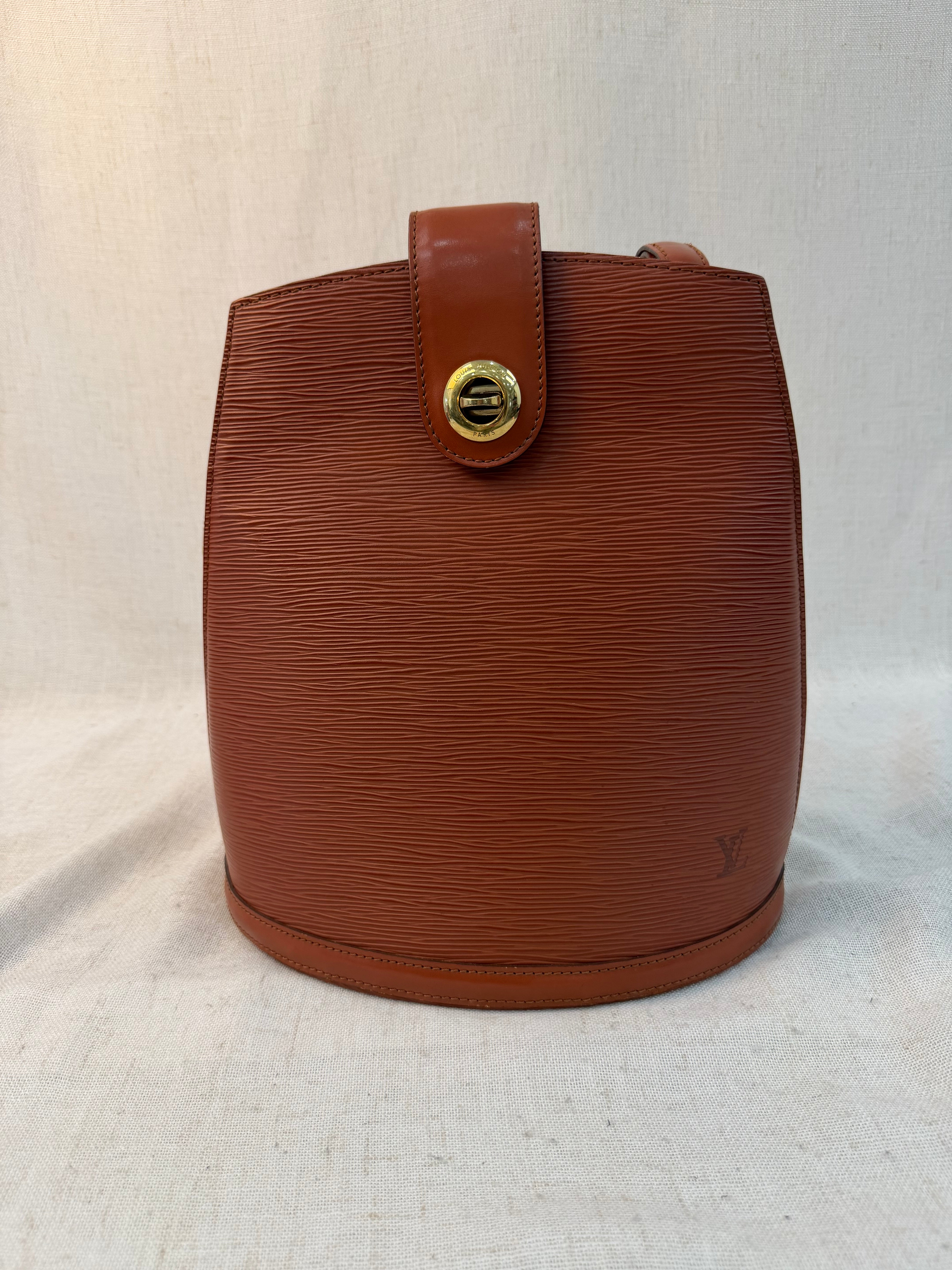 Louis Vuitton Brown Epi Cluny Shoulder Bag