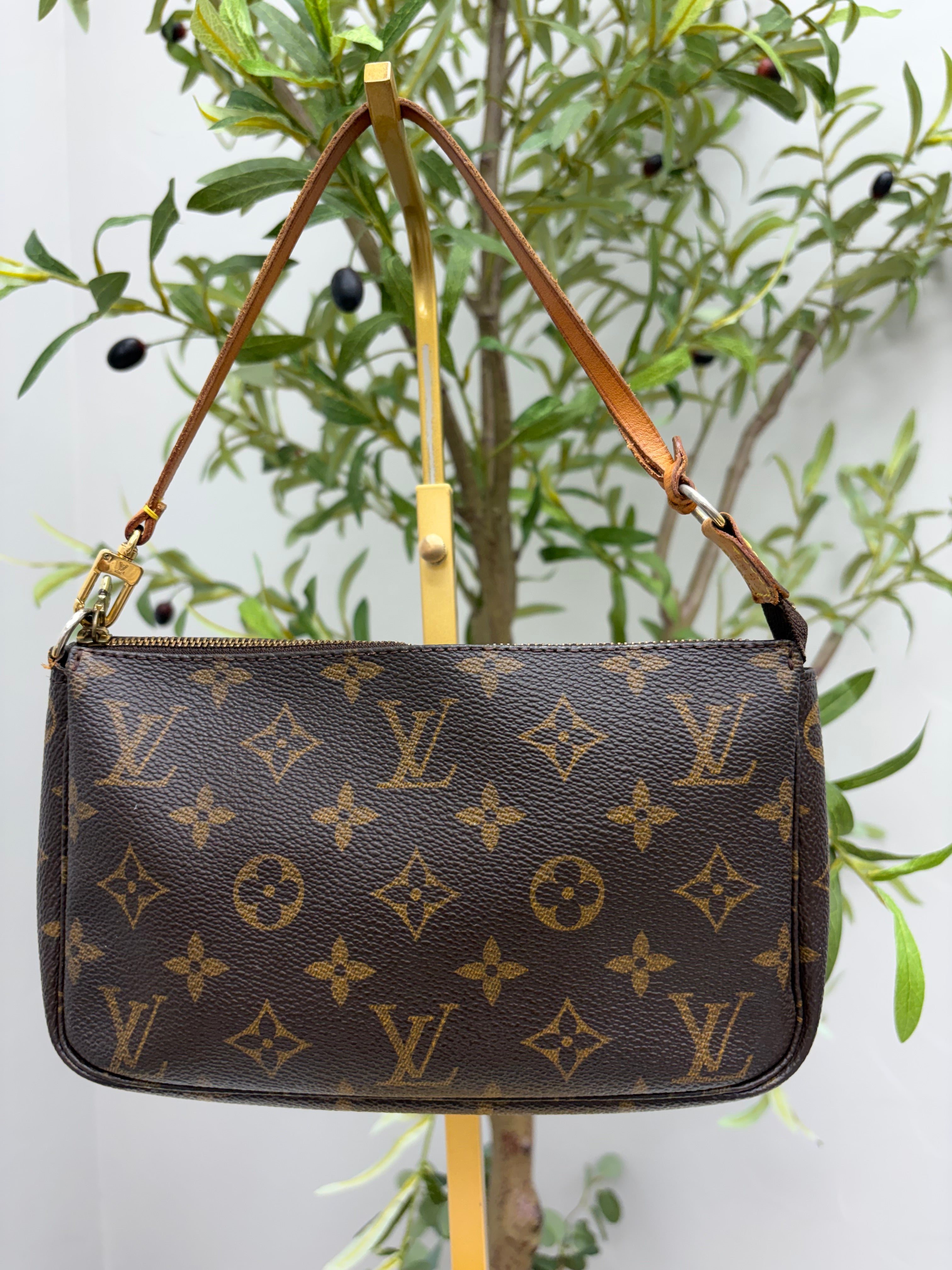 Louis Vuitton Monogram Accessories Pochette