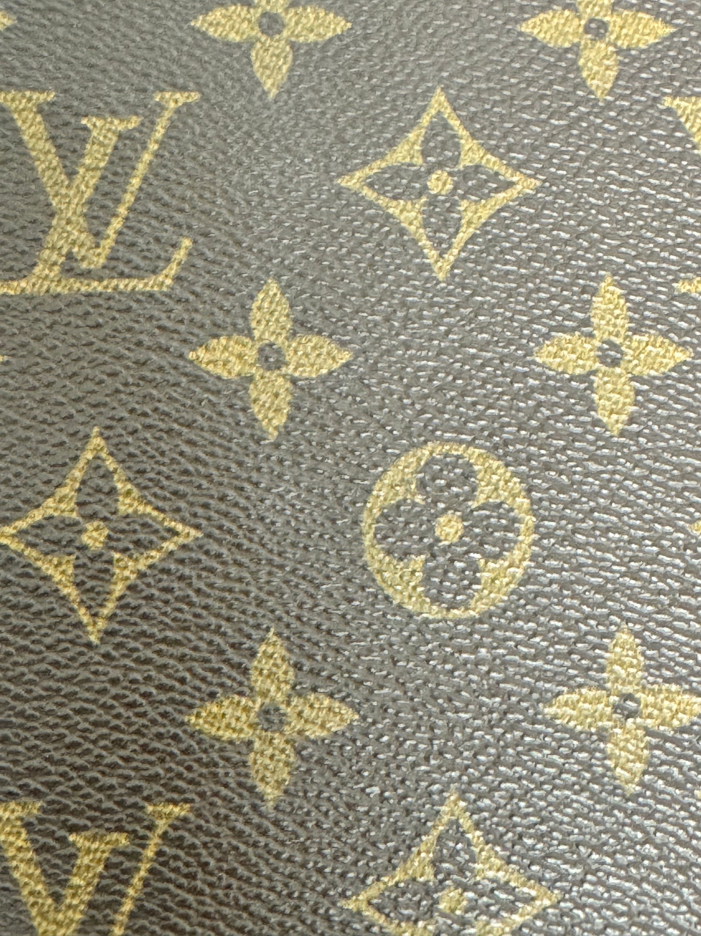 Louis Vuitton Monogram Poche Escapade Organizer Wallet