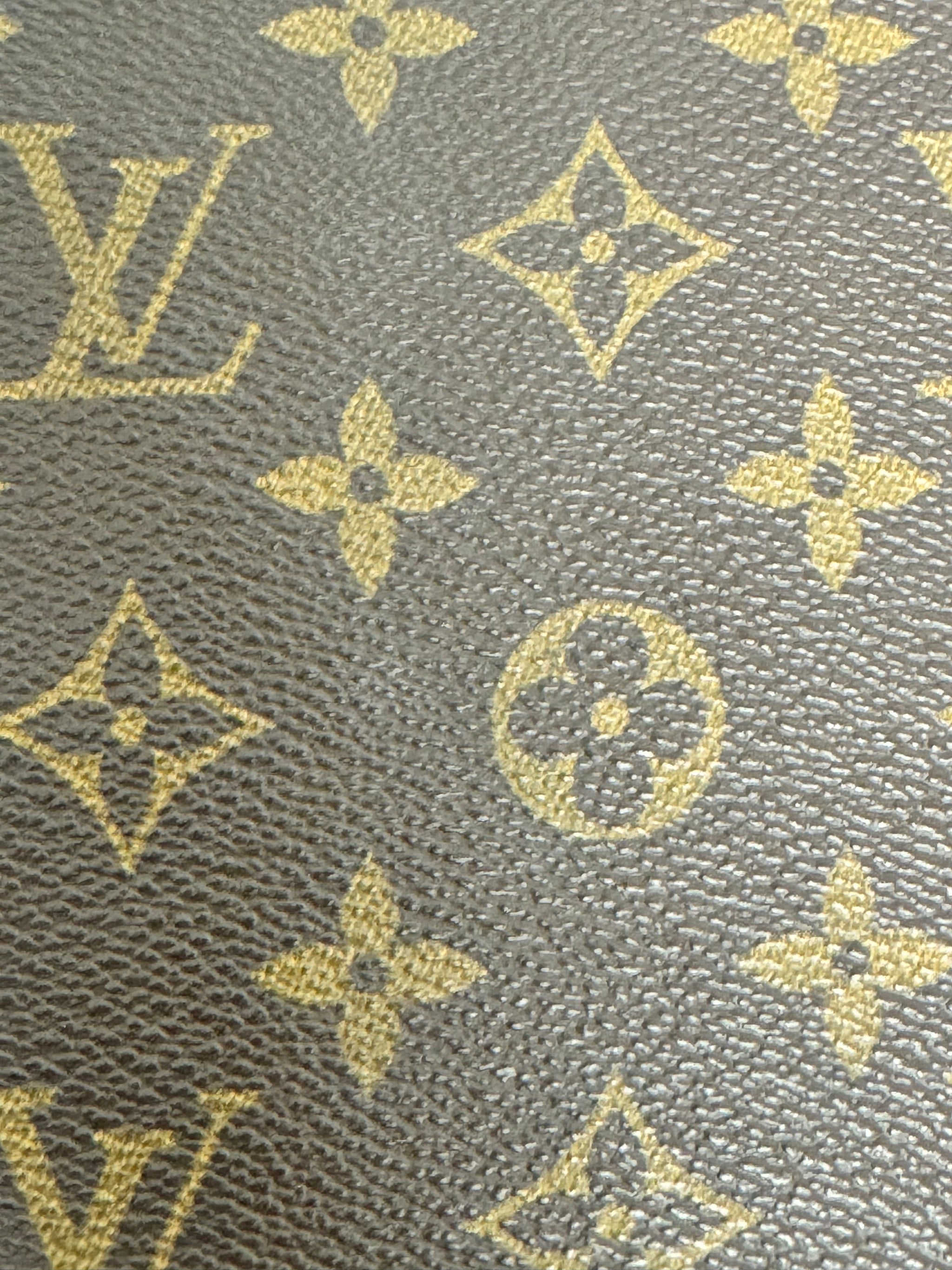 Louis Vuitton Monogram Poche Escapade Organizer Wallet