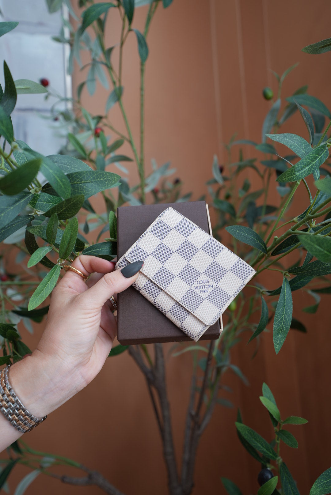 Louis Vuitton Damier Azur Card Case