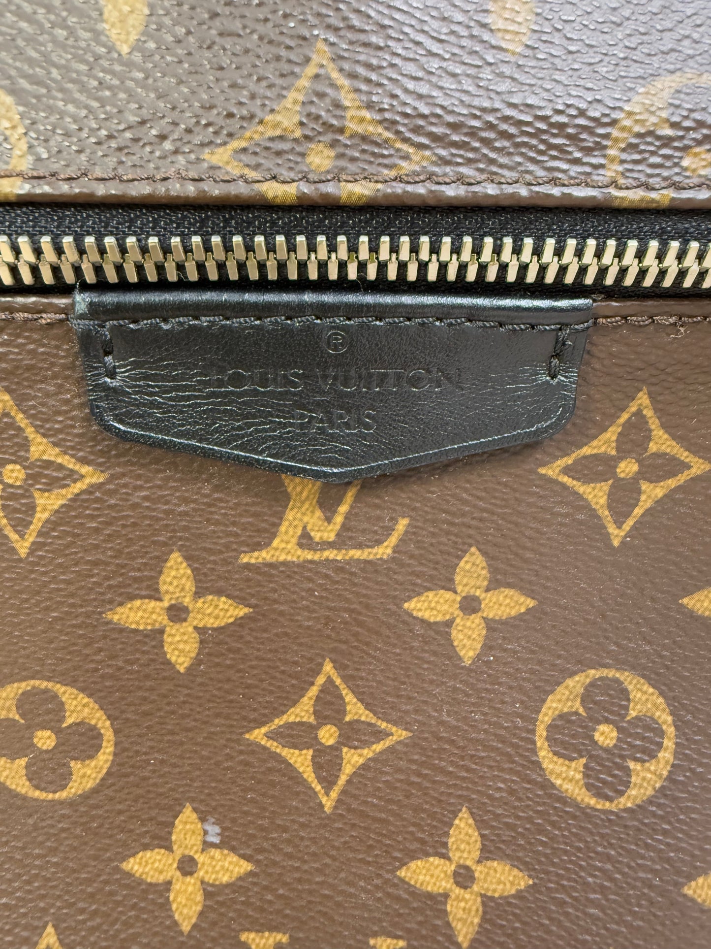 Louis Vuitton Monogram & Macassar Josh Backpack