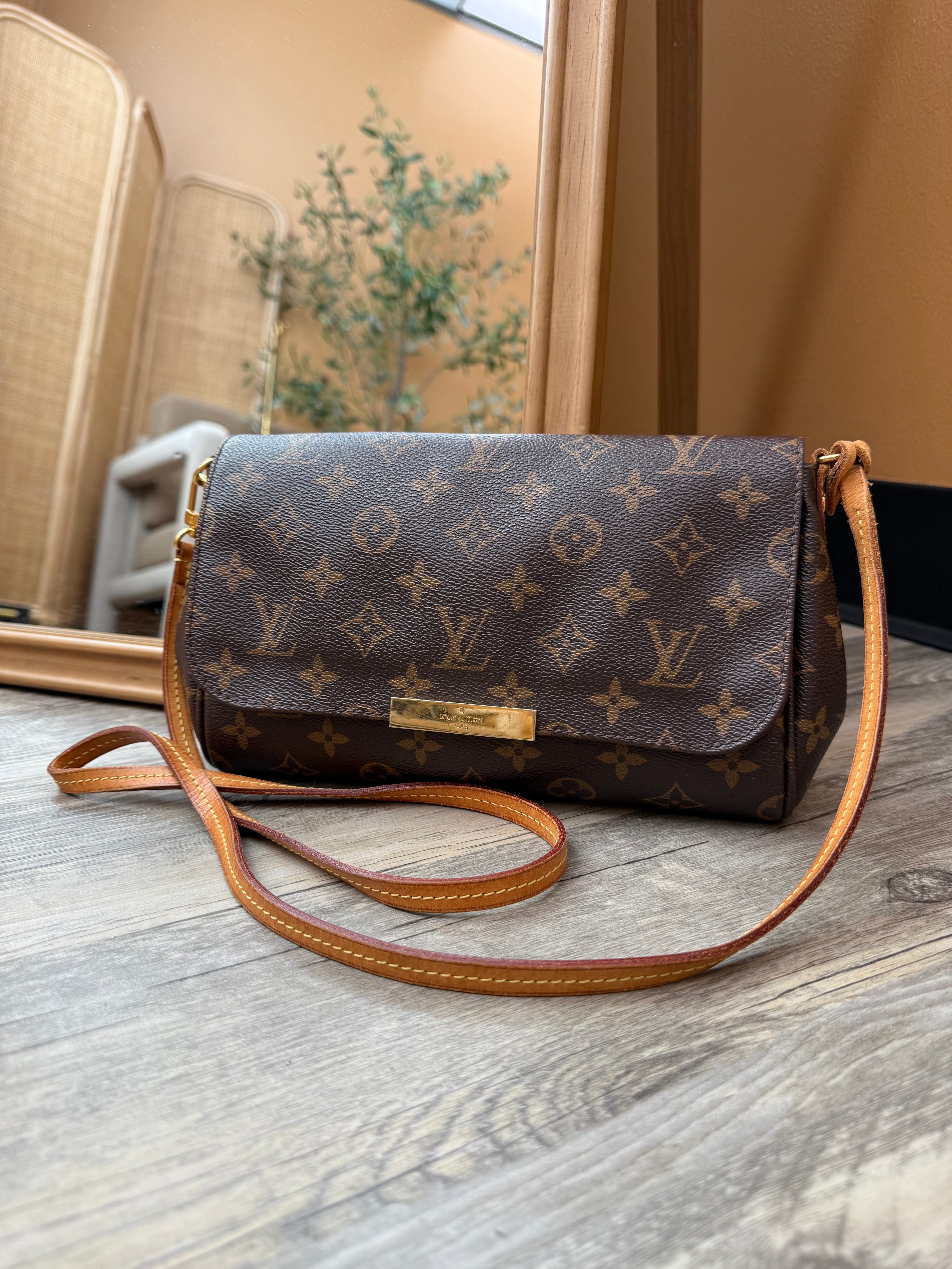 Louis Vuitton Monogram Favorite MM Crossbody Bag