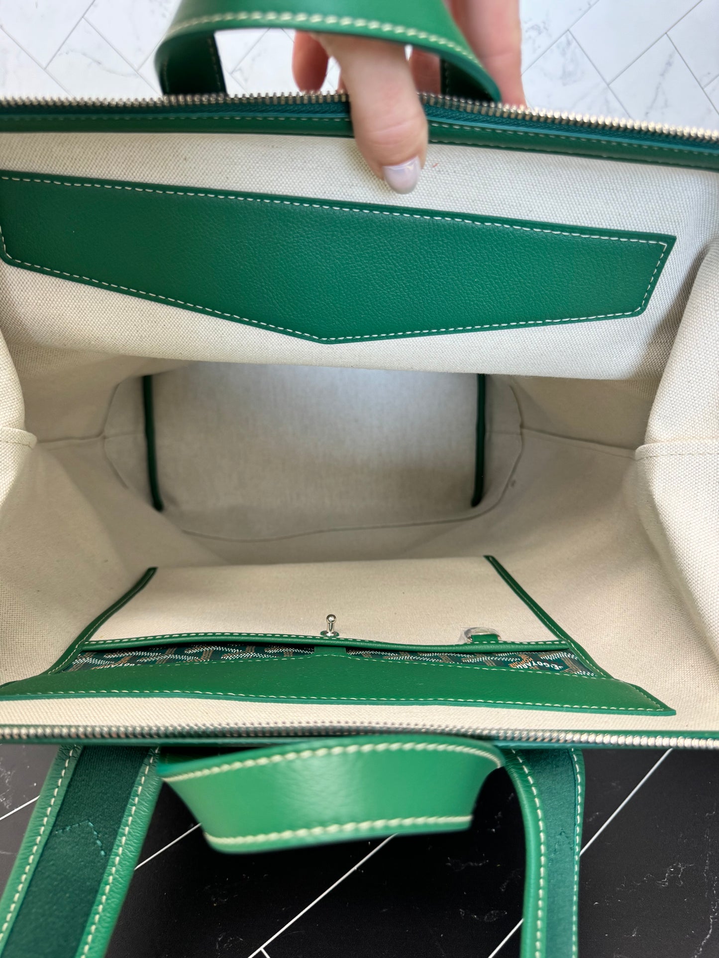 BRAND NEW- Goyard Green Cisalpin Backpack