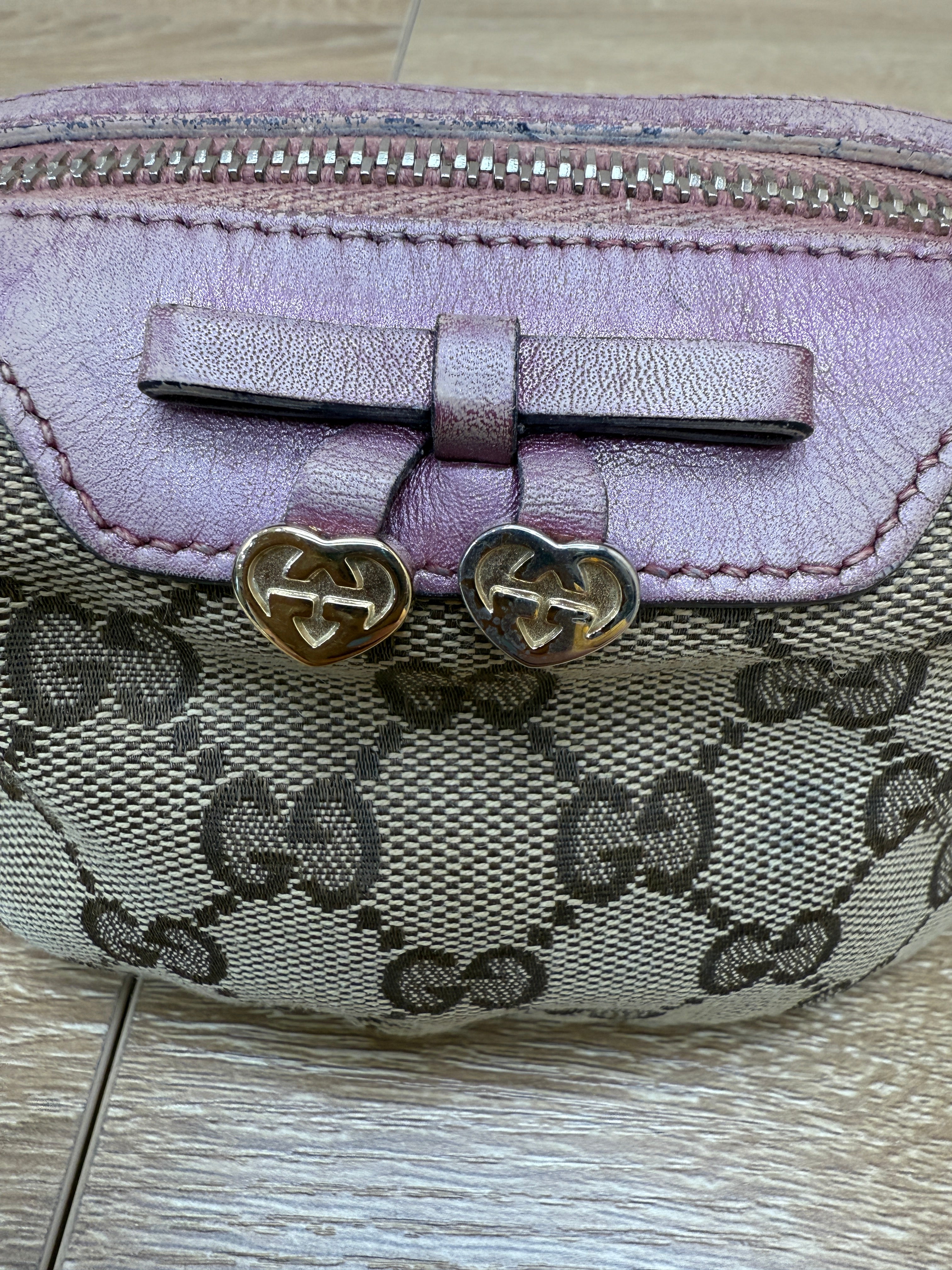 Gucci Canvas & Mauve Leather Cosmetic Pouch