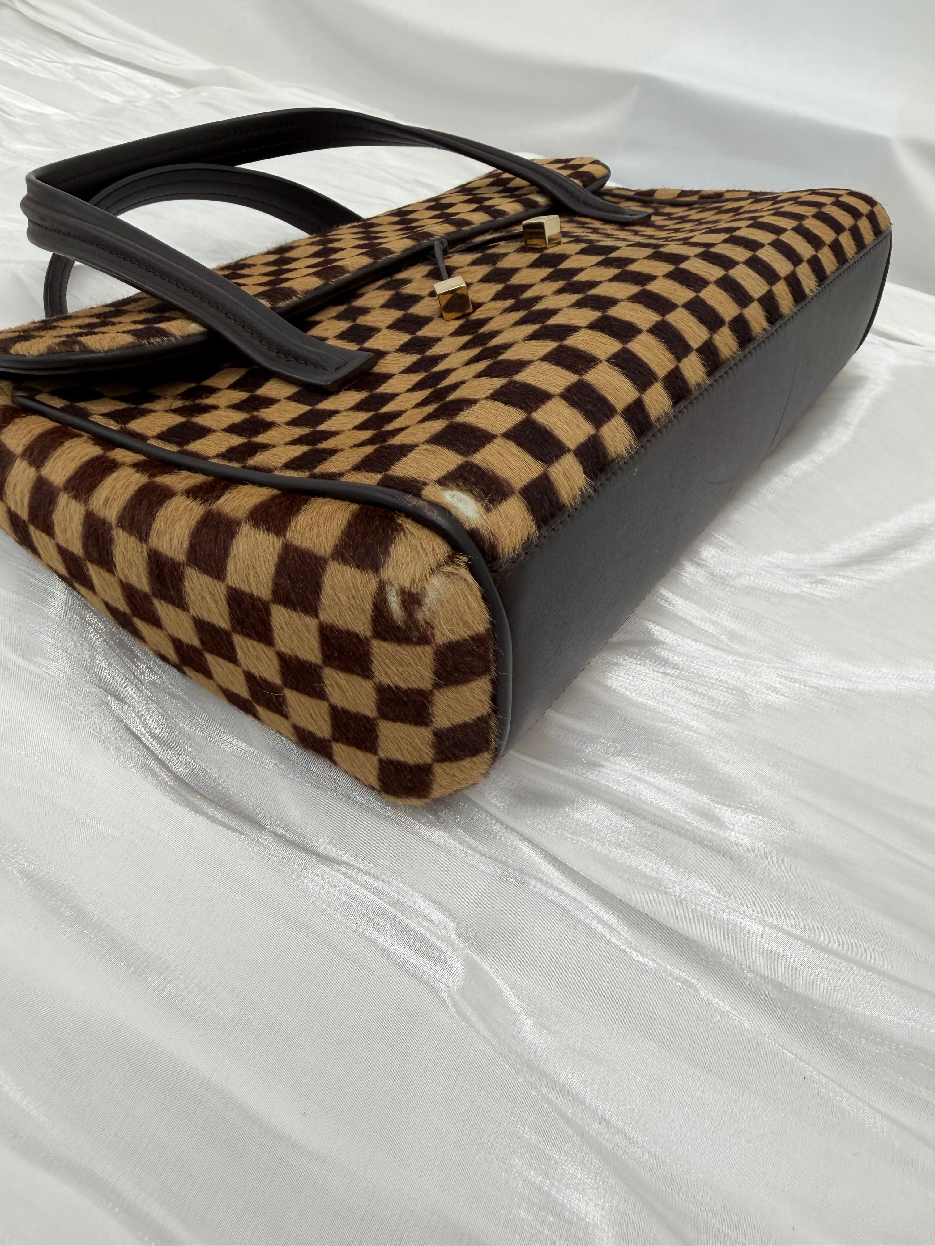 Louis Vuitton Damier Sauvage Lionne Handbag