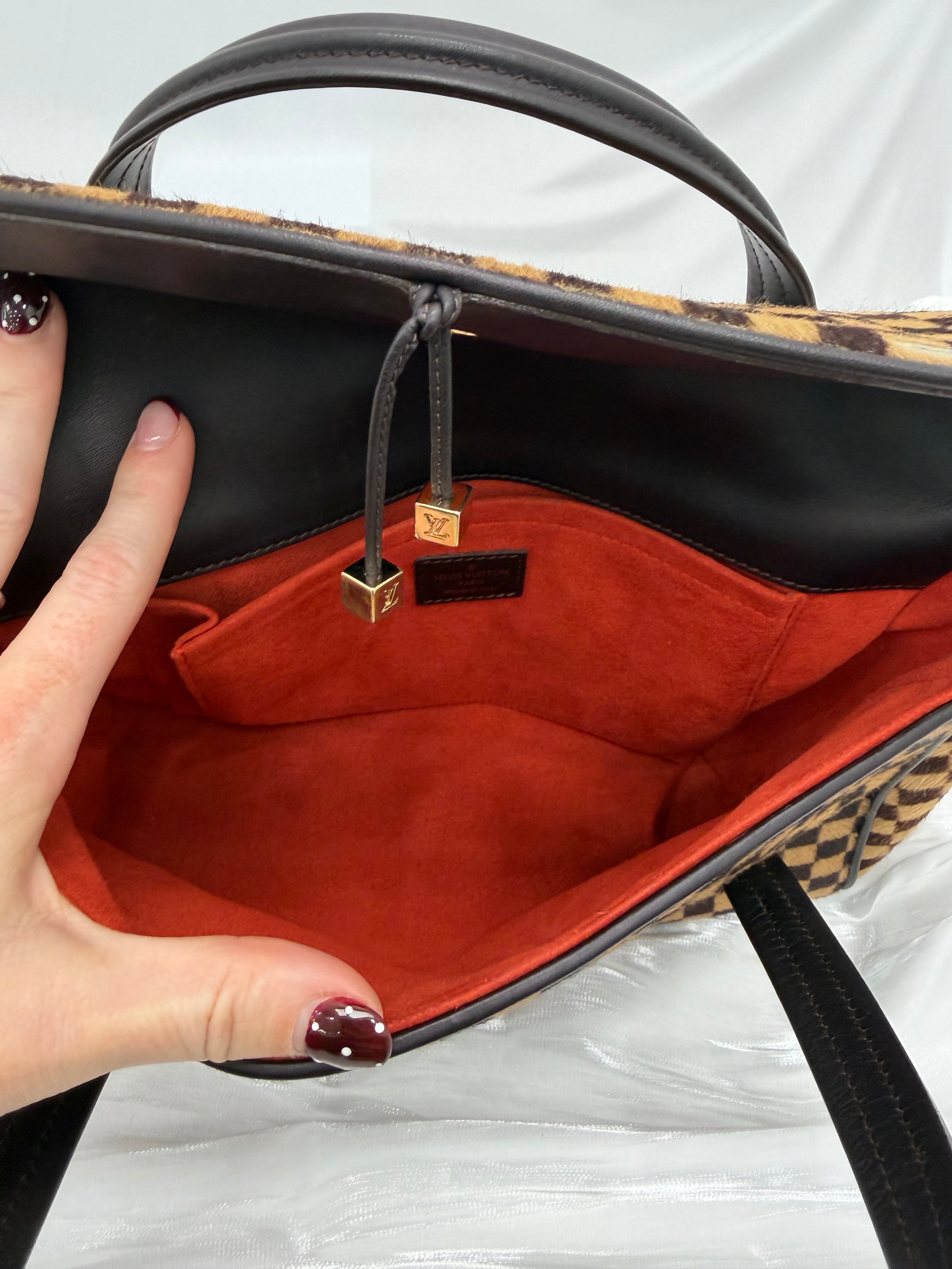 Louis Vuitton Damier Sauvage Lionne Handbag