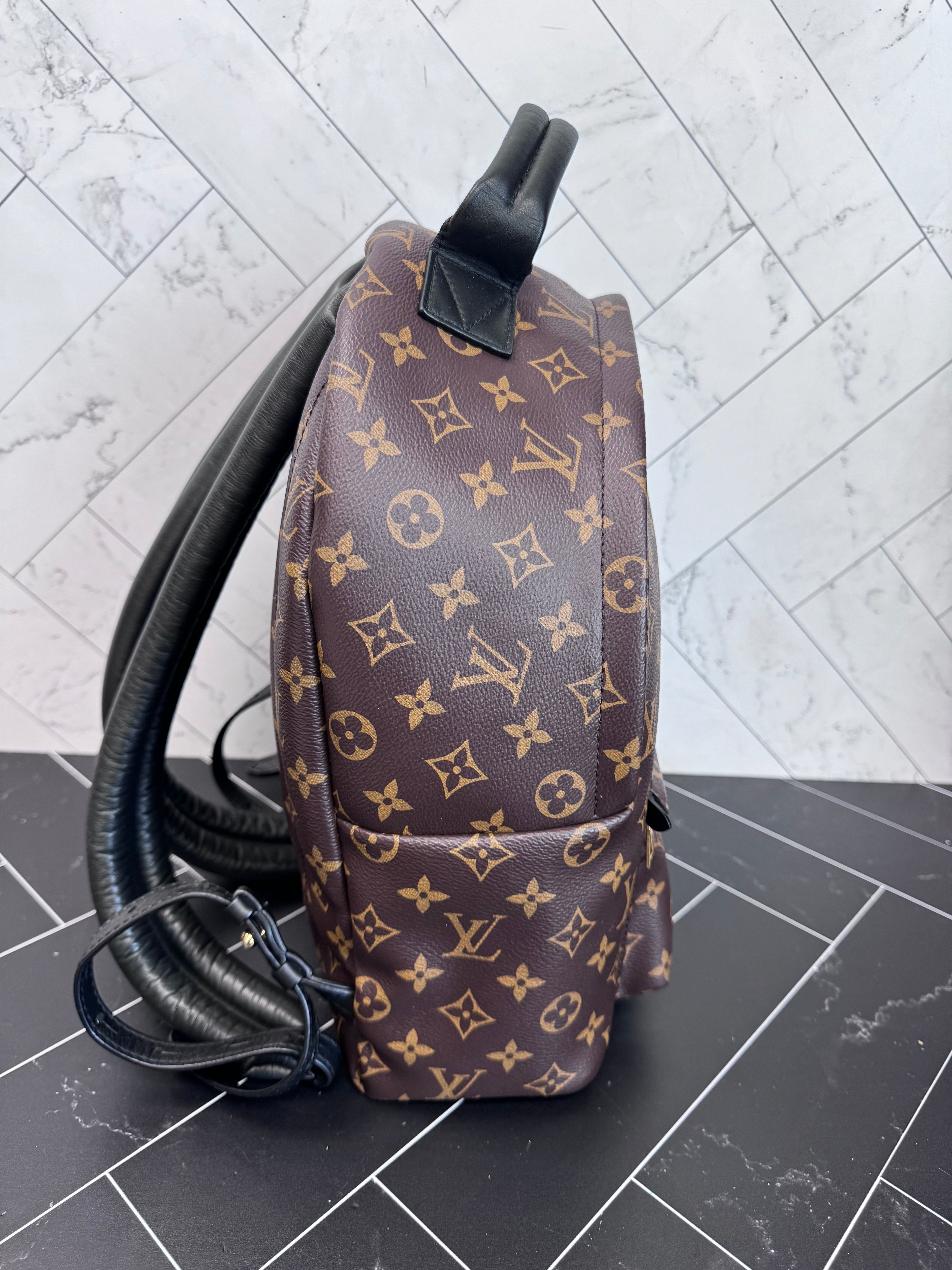 BRAND NEW Louis Vuitton Monogram Palm Springs MM Backpack