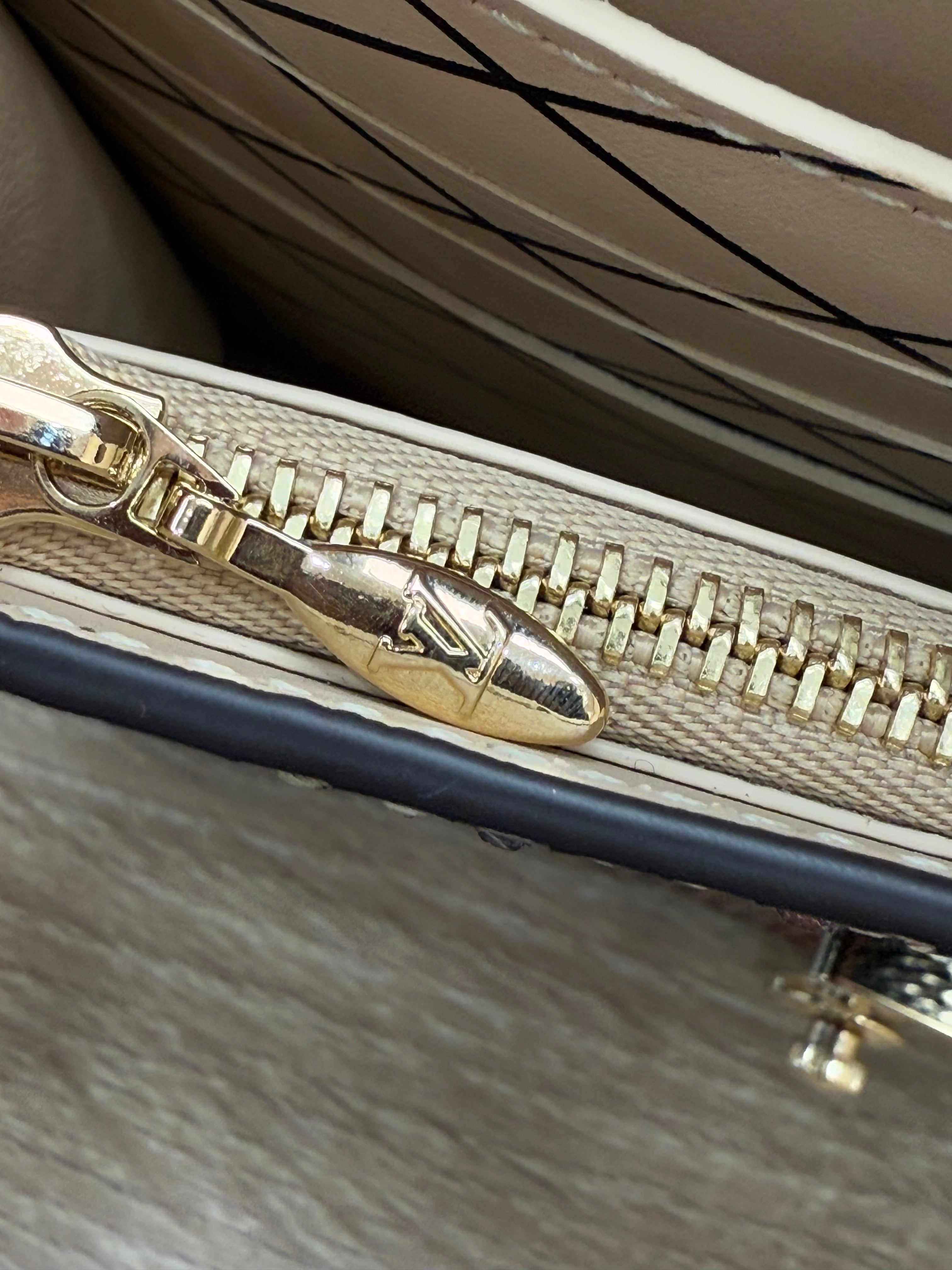 BRAND NEW- Louis Vuitton Limited Editon Multicolor Python Trunk Wallet on a Chain