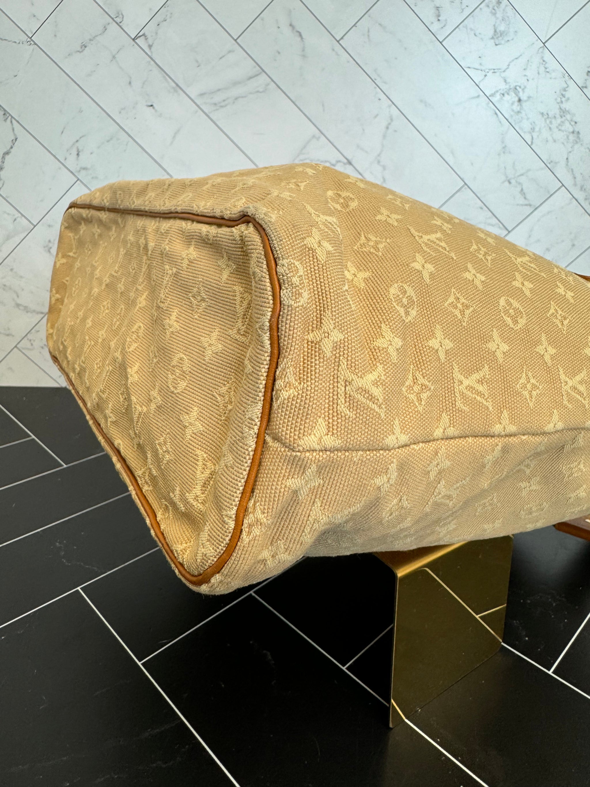 Louis Vuitton Lucille Mini Lin GM Tote