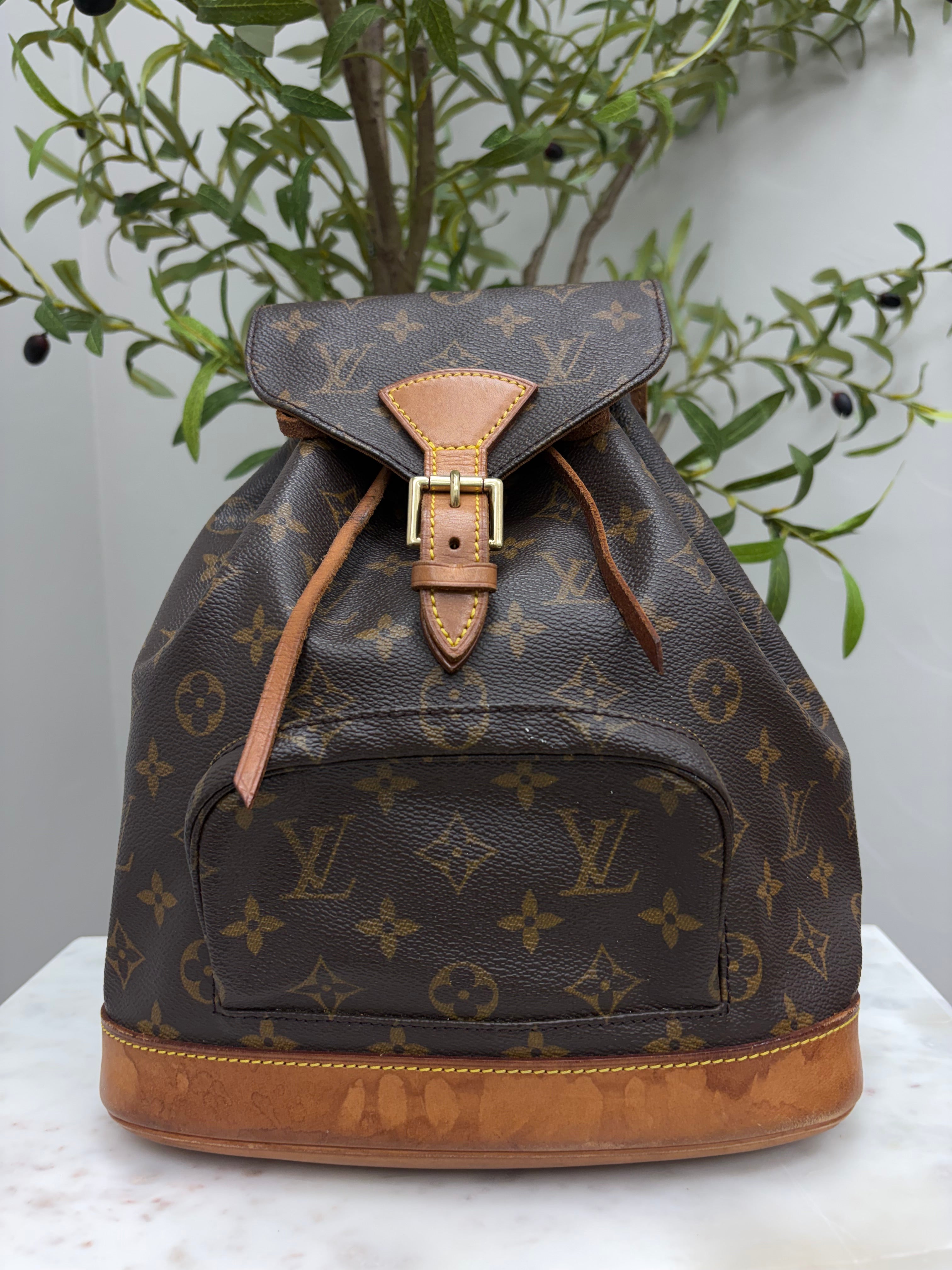 Louis Vuitton Monogram Montsouris Backpack MM