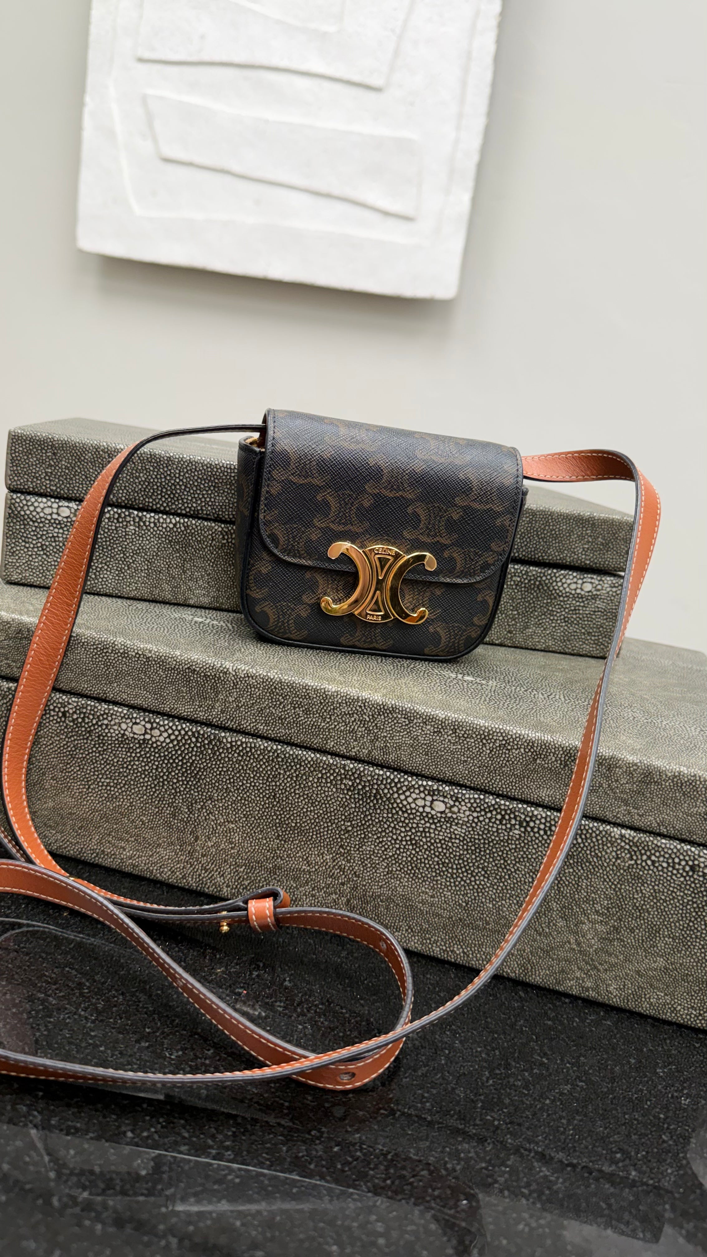 BRAND NEW- Celine Triomphe Coated Canvas Mini Claude