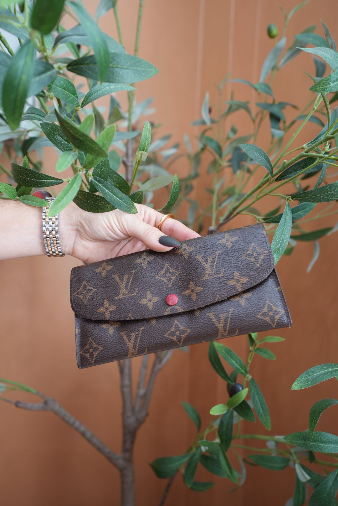 Louis Vuitton Monogram & Red Emilie Wallet