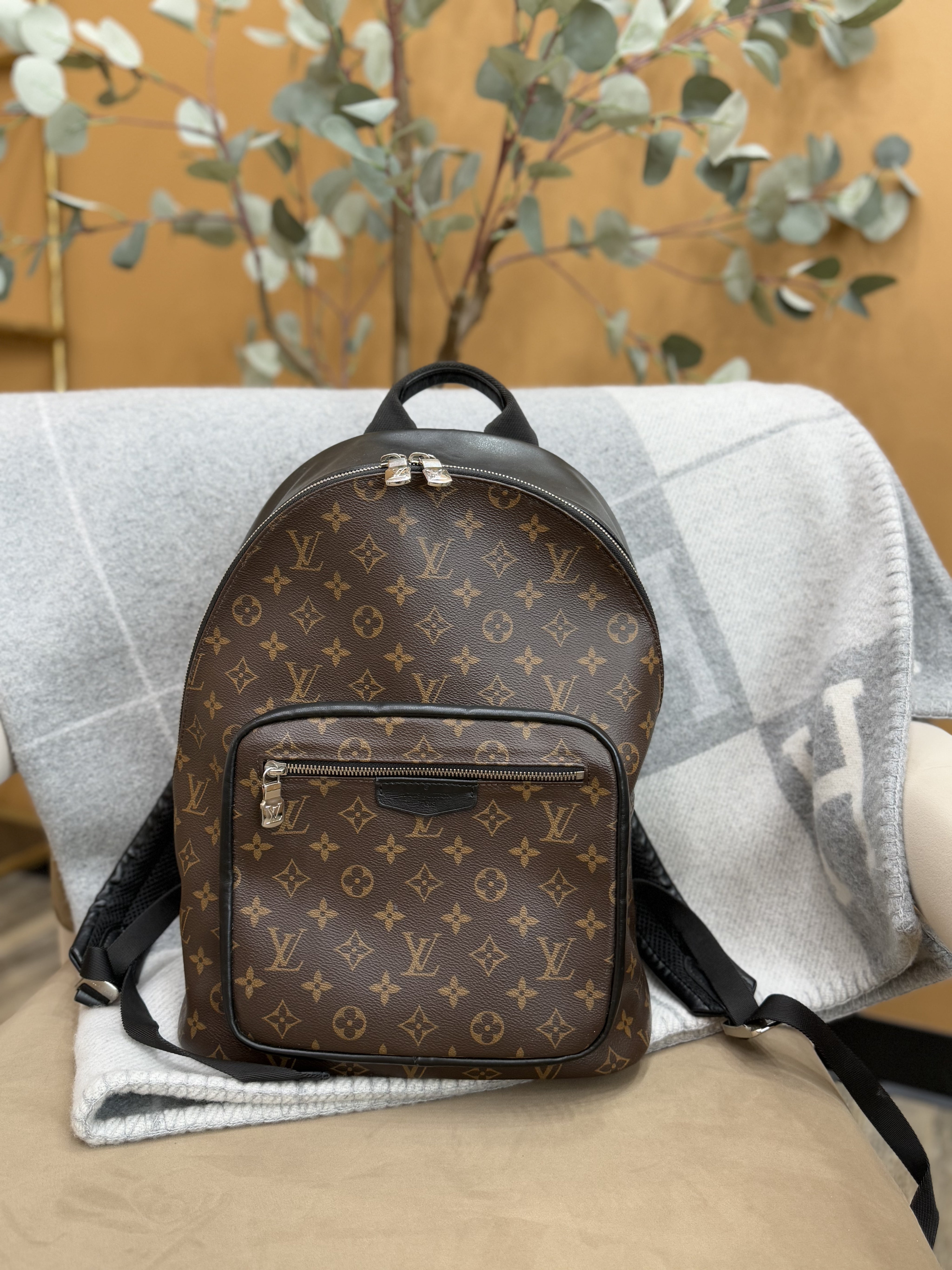 Louis Vuitton Monogram & Macassar Josh Backpack