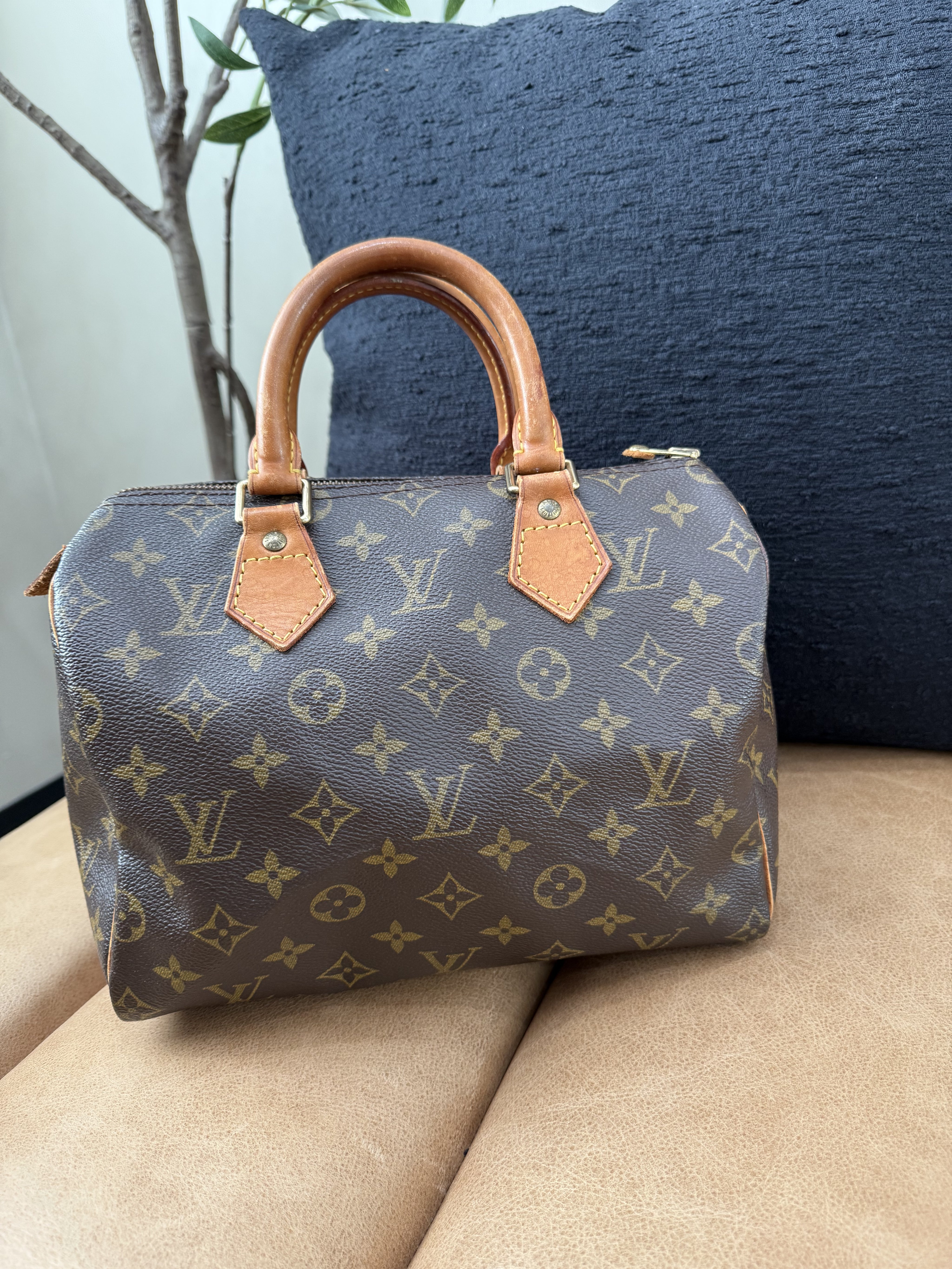 Louis Vuitton Monogram Speedy 25