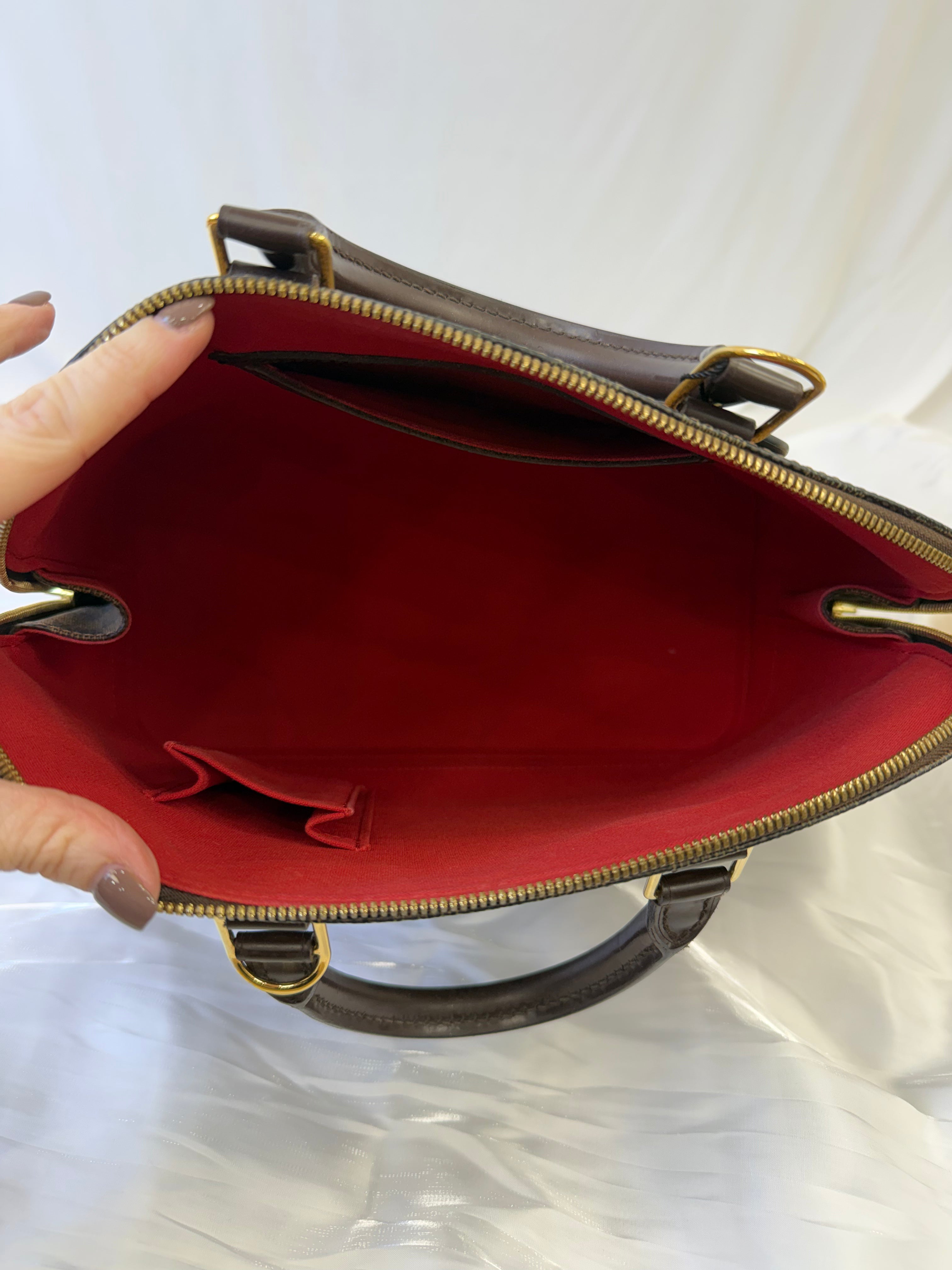 Louis Vuitton Damier Ebene Alma PM Bag