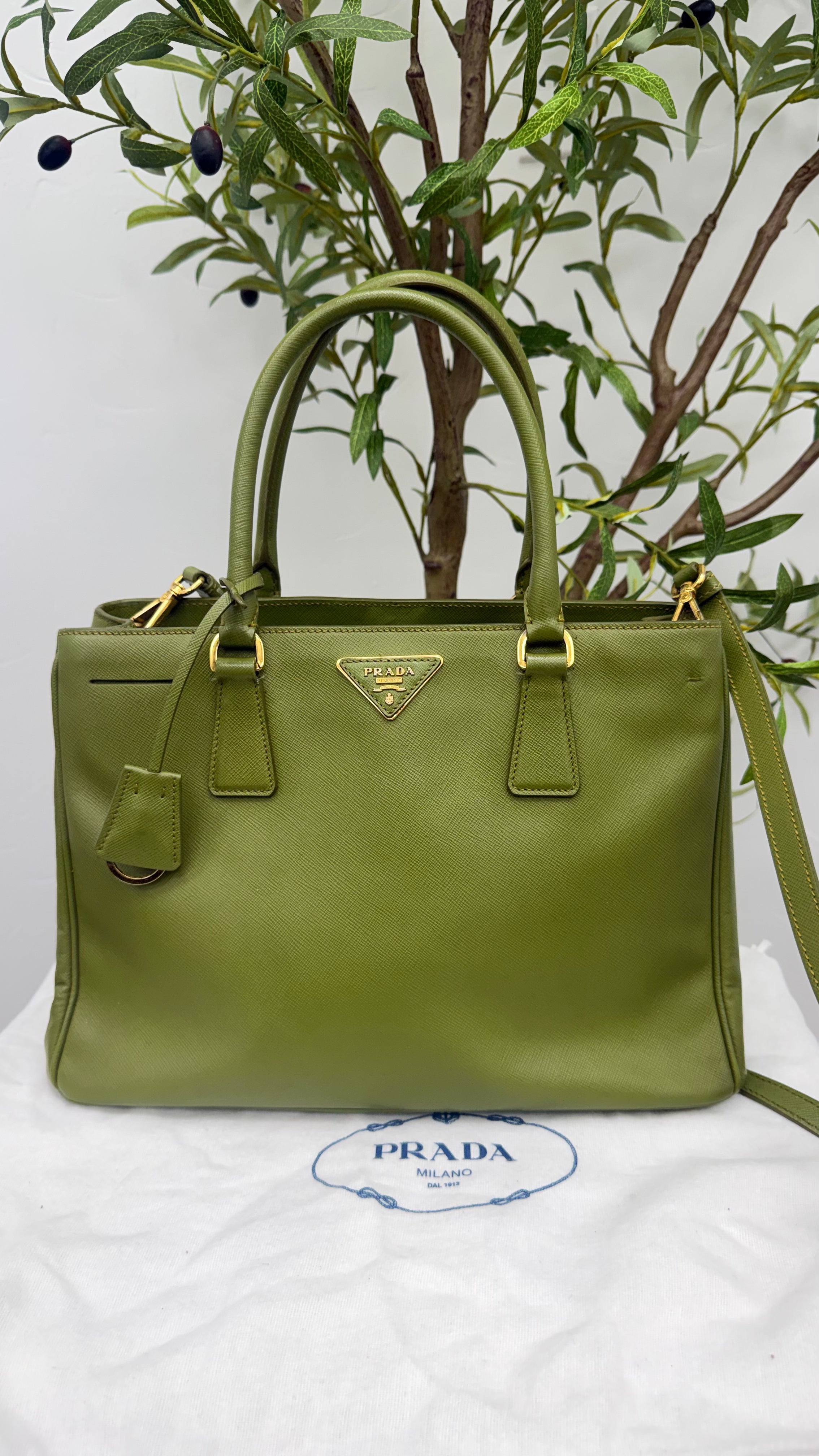 Prada Green Saffiano Leather Medium Gardener's Tote Bag