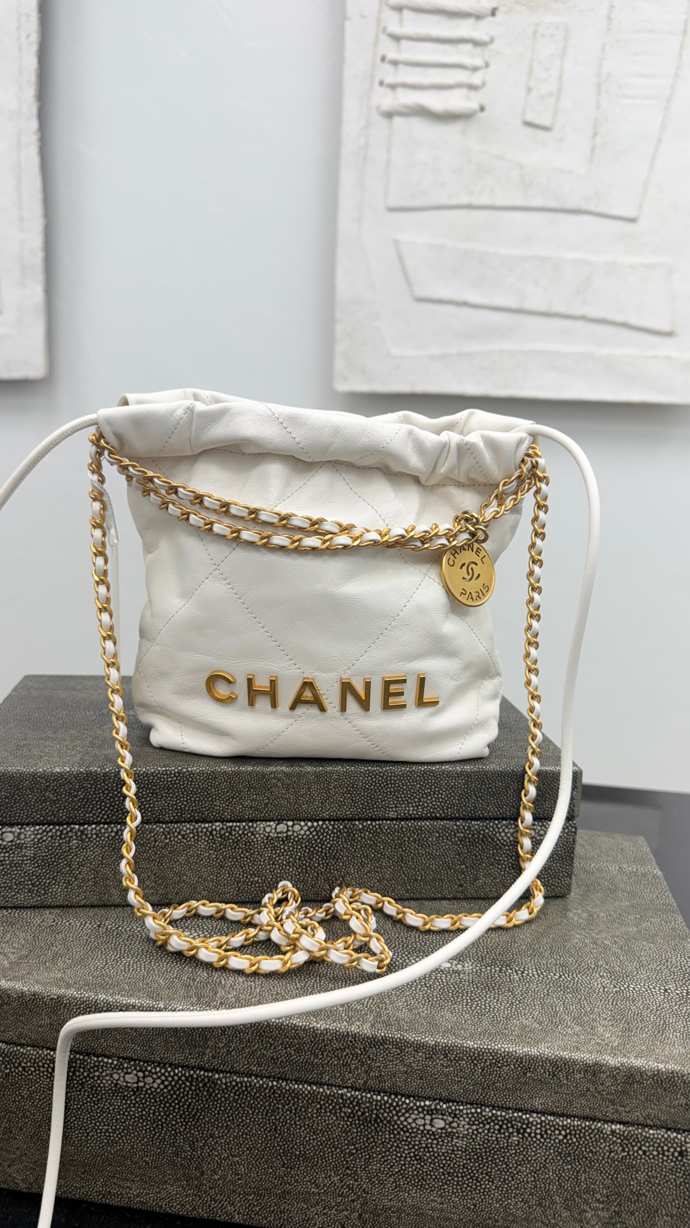 Chanel White Quilted Calfskin Leather Mini Chanel 22 Chain Hobo Bag